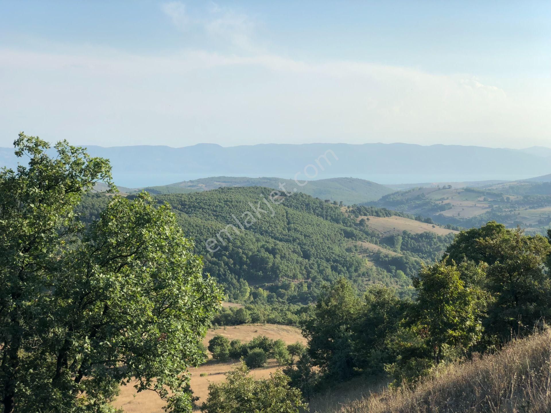 Uzmanlar'dan Karamürsel Fulacık %5 İmarlı 26.724 M2 Satılık Tarla - Görsel 13