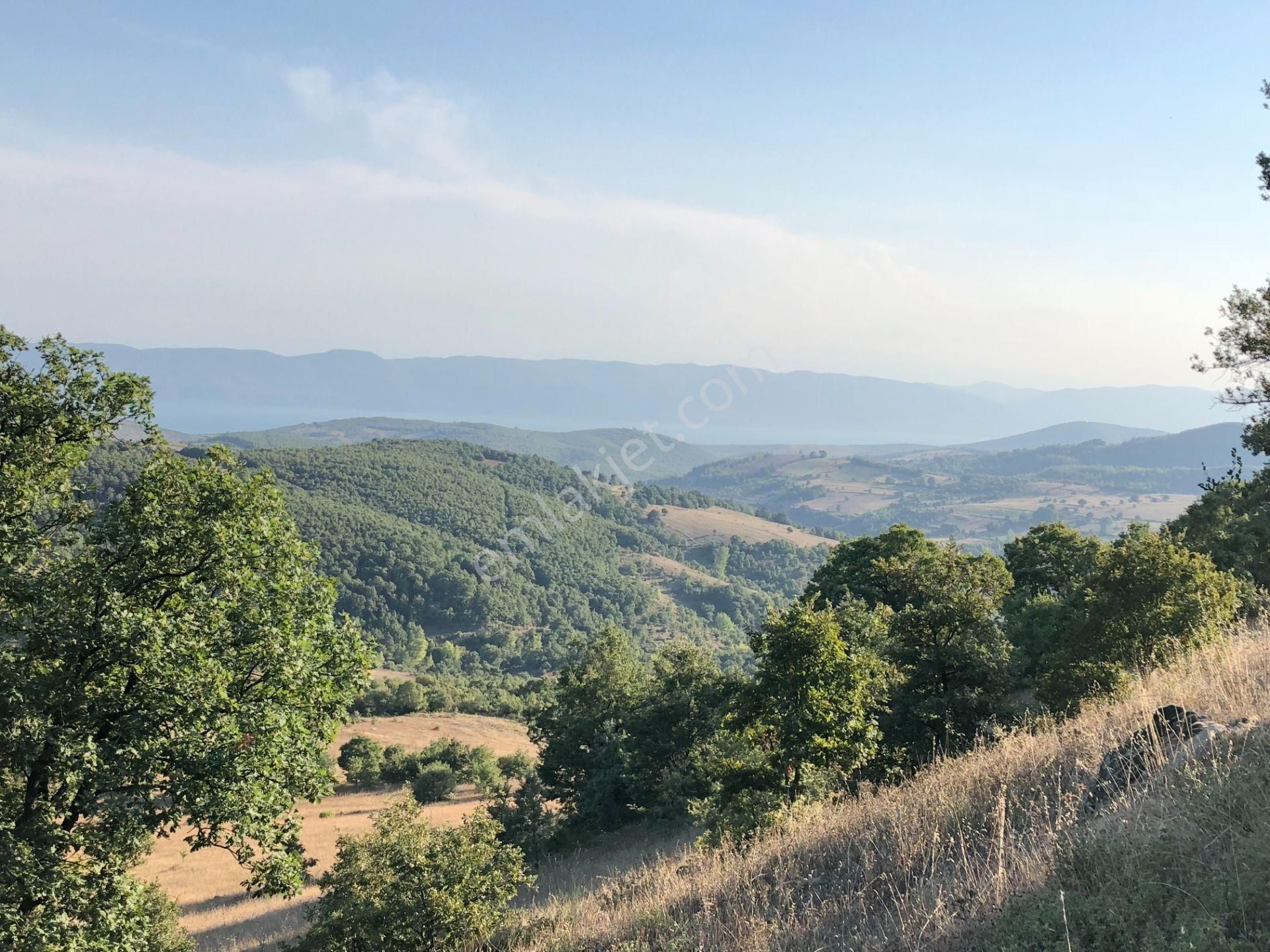 Uzmanlar'dan Karamürsel Fulacık %5 İmarlı 26.724 M2 Satılık Tarla - Görsel 8