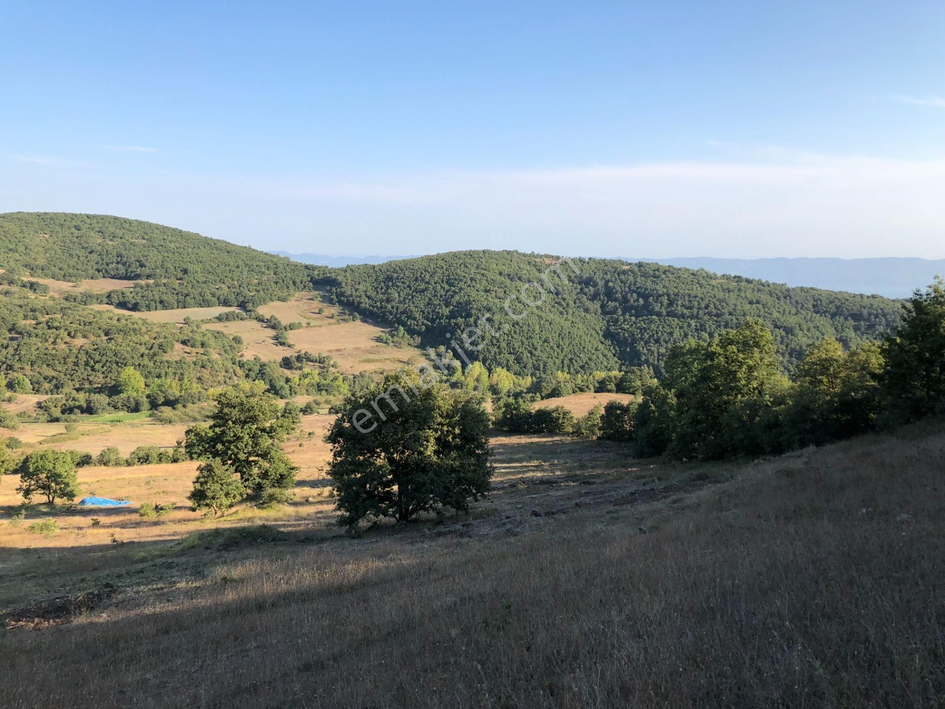 Uzmanlar'dan Karamürsel Fulacık %5 İmarlı 26.724 M2 Satılık Tarla - Görsel 2