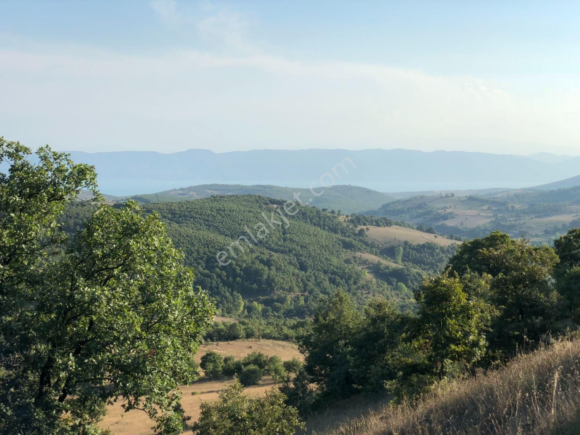 Uzmanlar'dan Karamürsel Fulacık %5 İmarlı 26.724 M2 Satılık Tarla