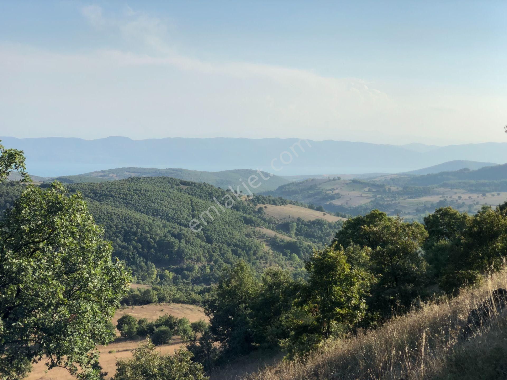Uzmanlar'dan Karamürsel Fulacık %5 İmarlı 26.724 M2 Satılık Tarla - Görsel 9