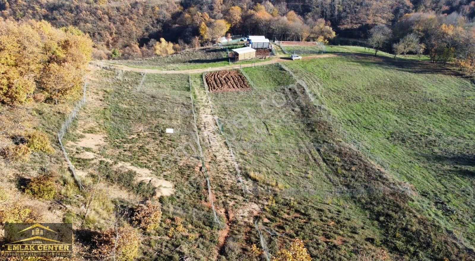 Kestel Yagmurluda Çok Güzel Lokasyonda 320 M2 Hobi Bahçesi - Görsel 4