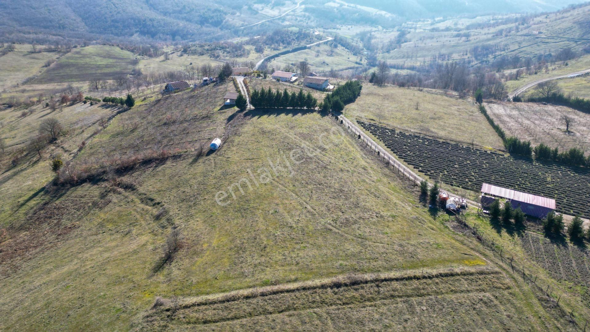 Kocaeli Karamürsel Fulacık %5 İmarlı 3778 M2 Satılık Tarla - Görsel 10