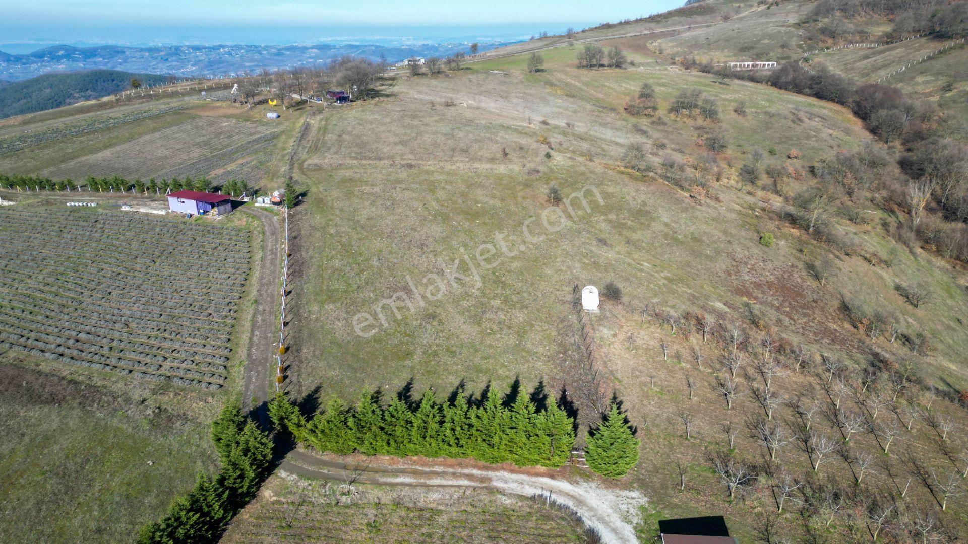 Kocaeli Karamürsel Fulacık %5 İmarlı 3778 M2 Satılık Tarla - Görsel 8