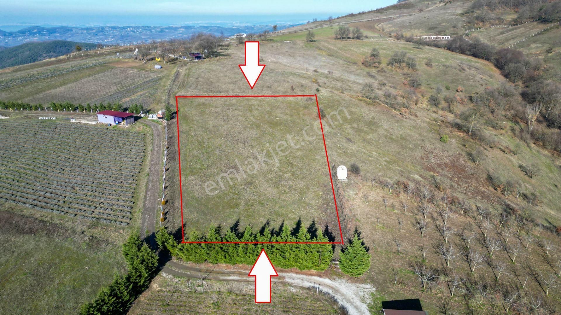 Kocaeli Karamürsel Fulacık %5 İmarlı 3778 M2 Satılık Tarla