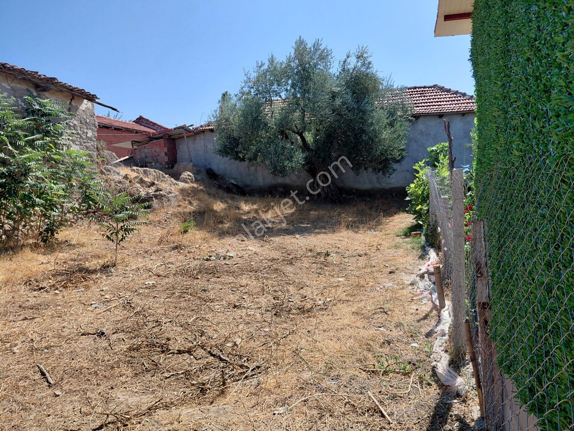Saruhanlı Hacımusa Da Satılık 360 M2 İmarlı Arsa 1.100.000 Tl - Görsel 10