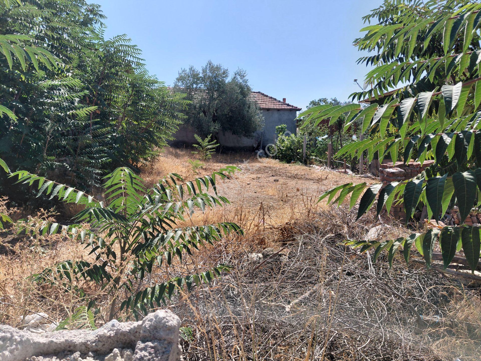 Saruhanlı Hacımusa Da Satılık 360 M2 İmarlı Arsa 1.100.000 Tl - Görsel 17