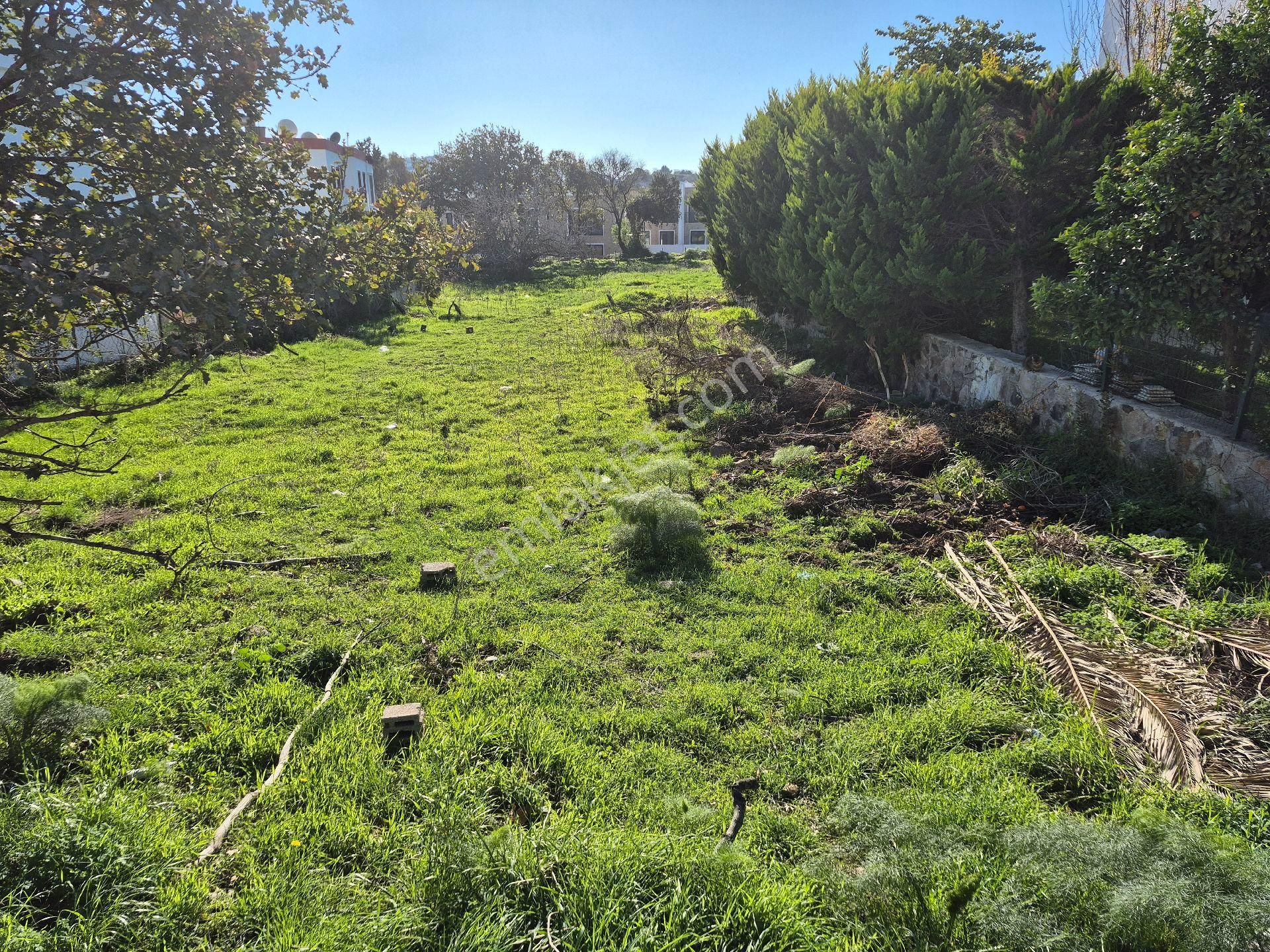 Bodrum Gümüşlük Merkezde 500 Metrekare%30 İmarlı Arsamız Satılıkt - Görsel 6