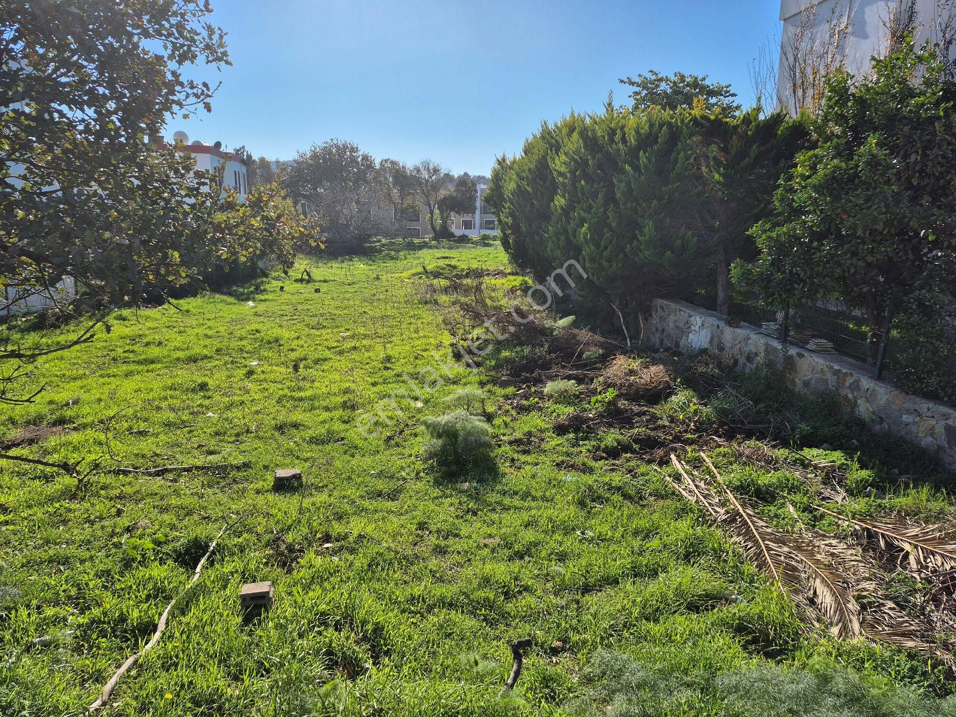 Bodrum Gümüşlük Merkezde 500 Metrekare%30 İmarlı Arsamız Satılıkt - Görsel 4