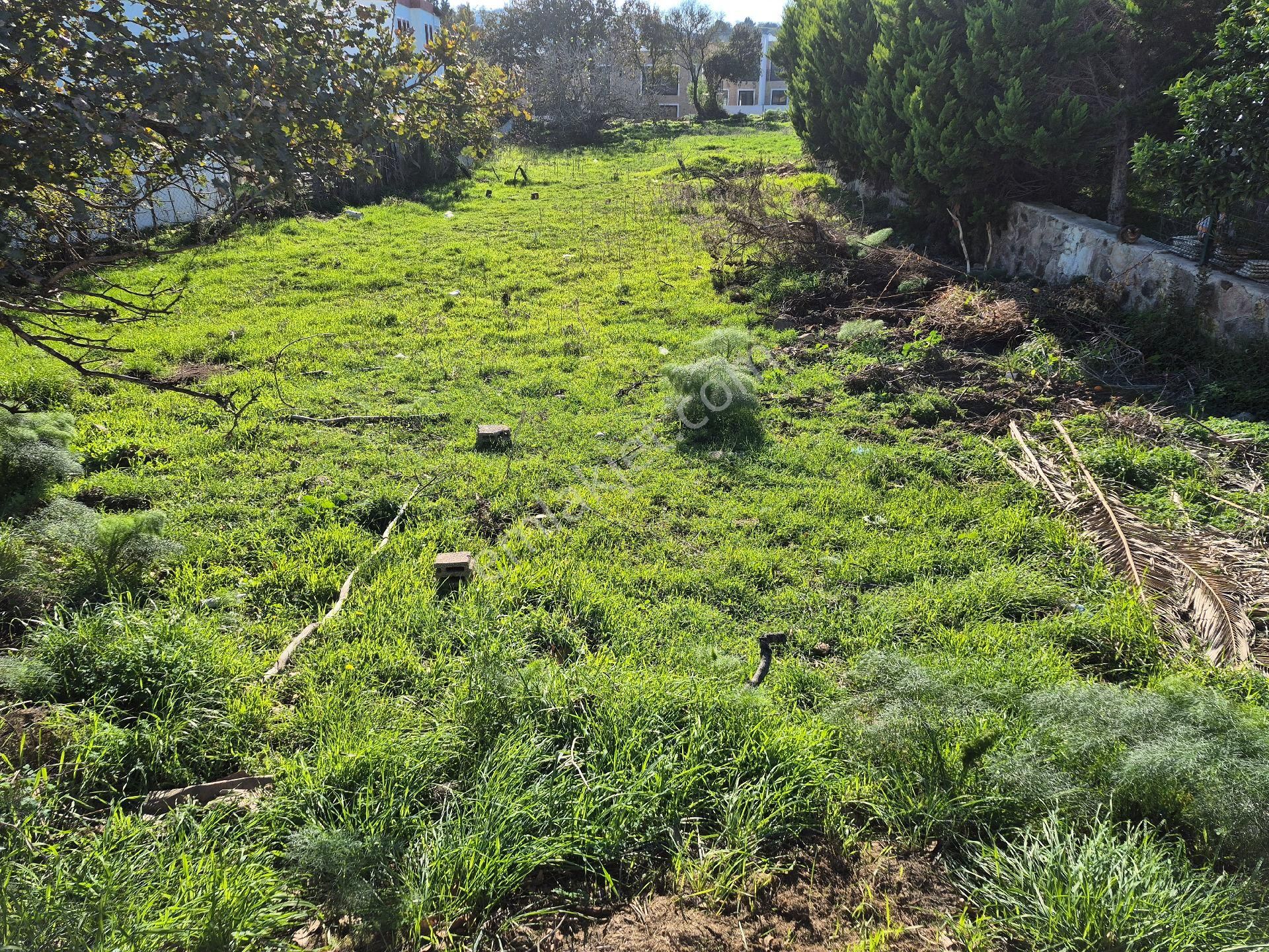 Bodrum Gümüşlük Merkezde 500 Metrekare%30 İmarlı Arsamız Satılıkt - Görsel 2