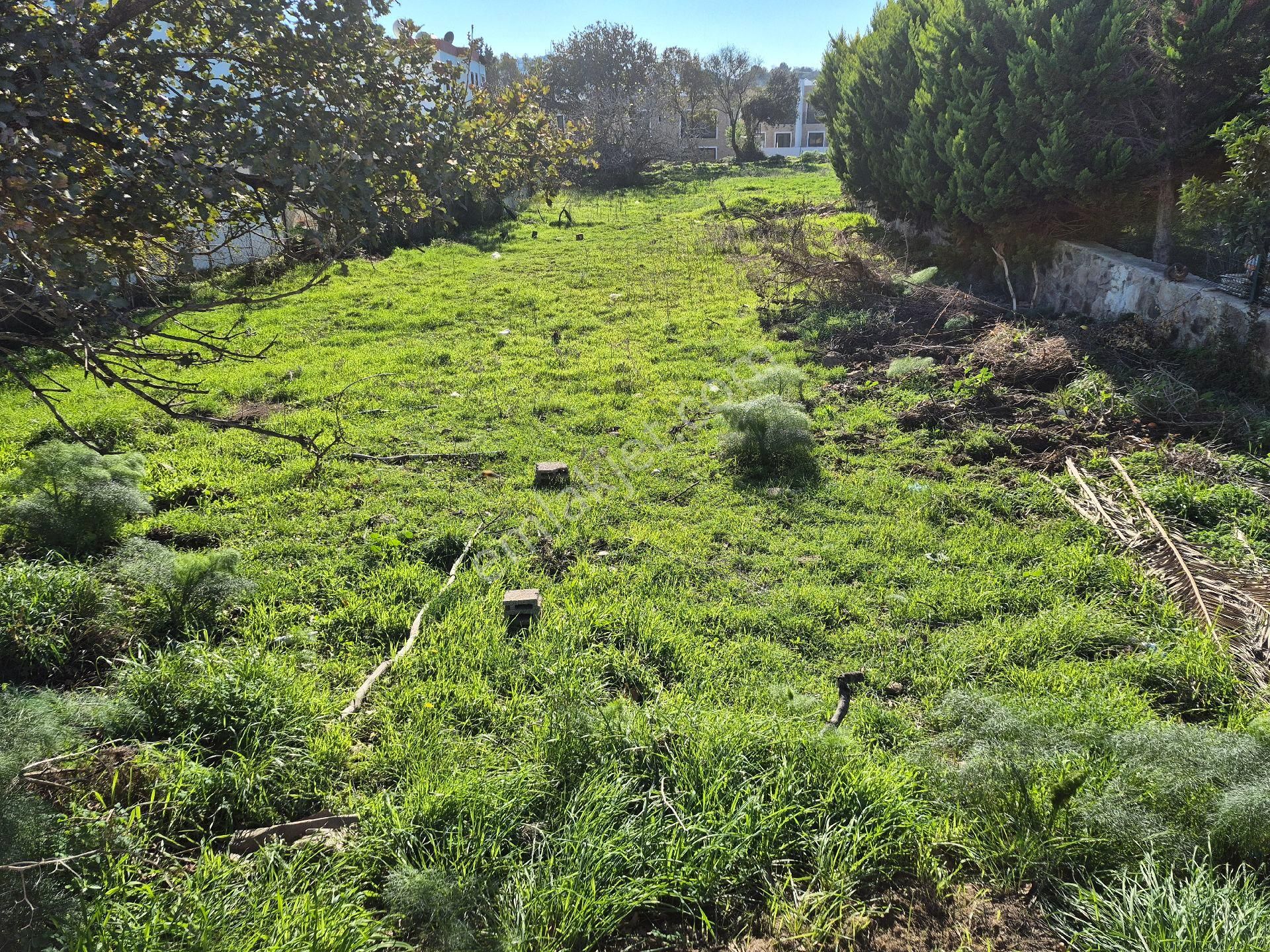 Bodrum Gümüşlük Merkezde 500 Metrekare%30 İmarlı Arsamız Satılıkt - Görsel 3