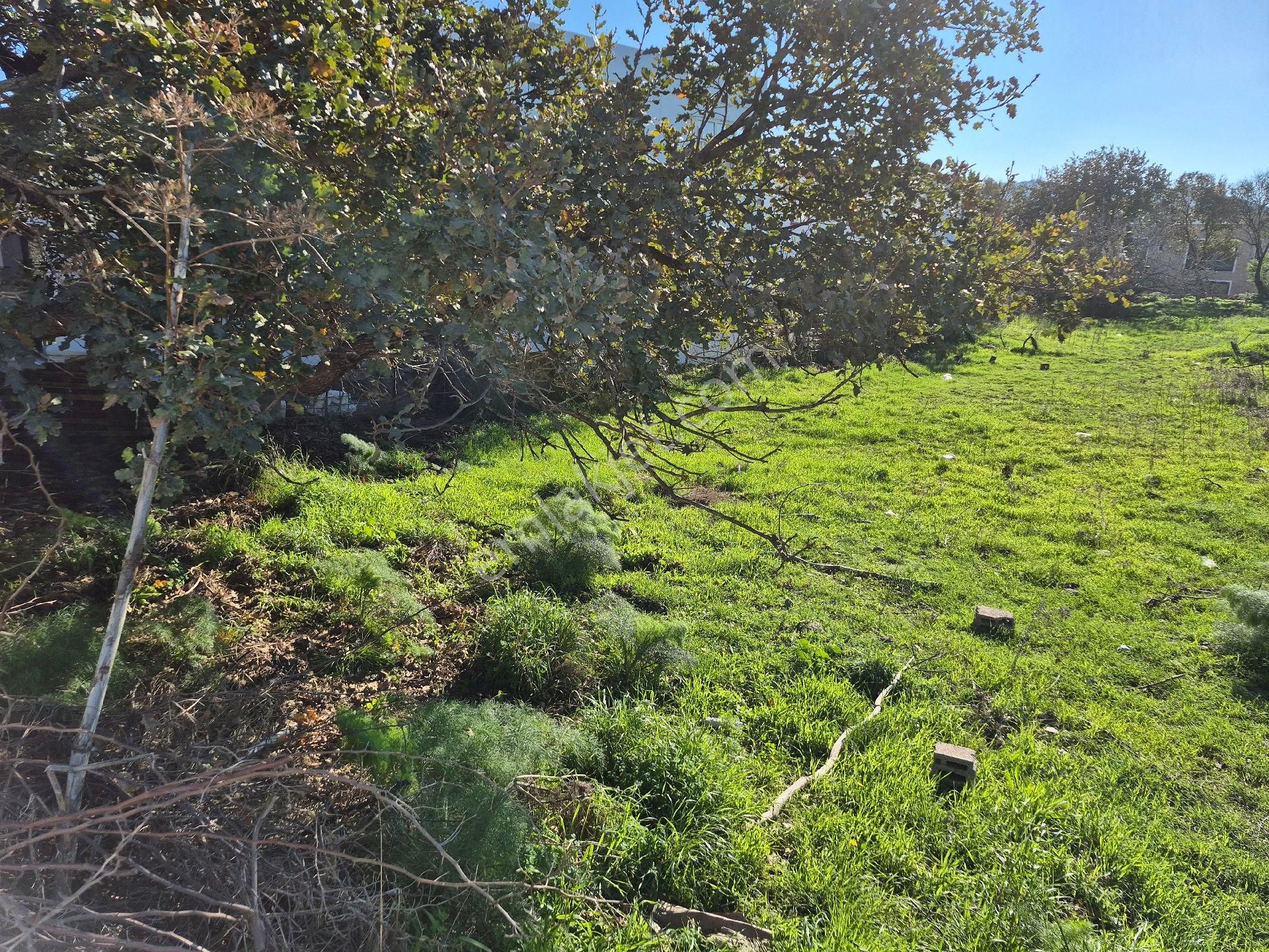 Bodrum Gümüşlük Merkezde 500 Metrekare%30 İmarlı Arsamız Satılıkt - Görsel 5