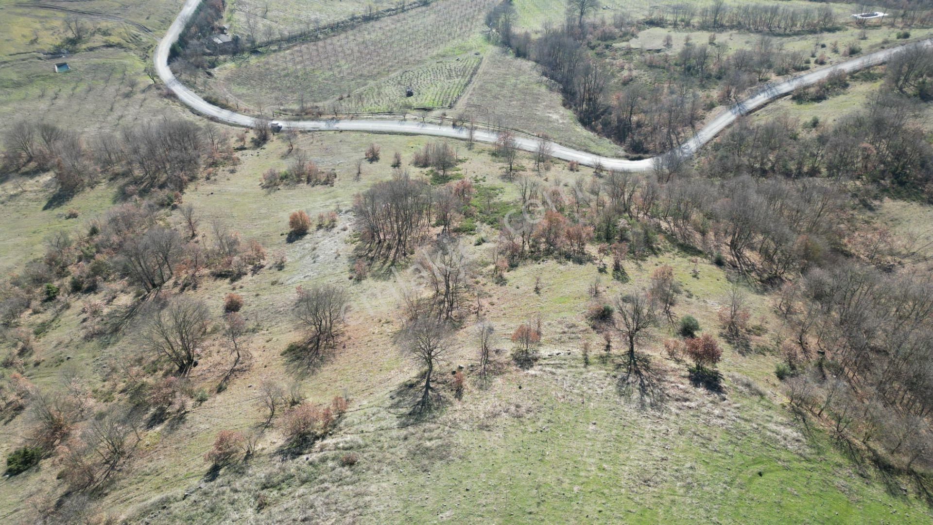 Kocaeli Karamürsel Fulacık %5 İmarlı 17.178 M2 Satılık Tarla - Görsel 13