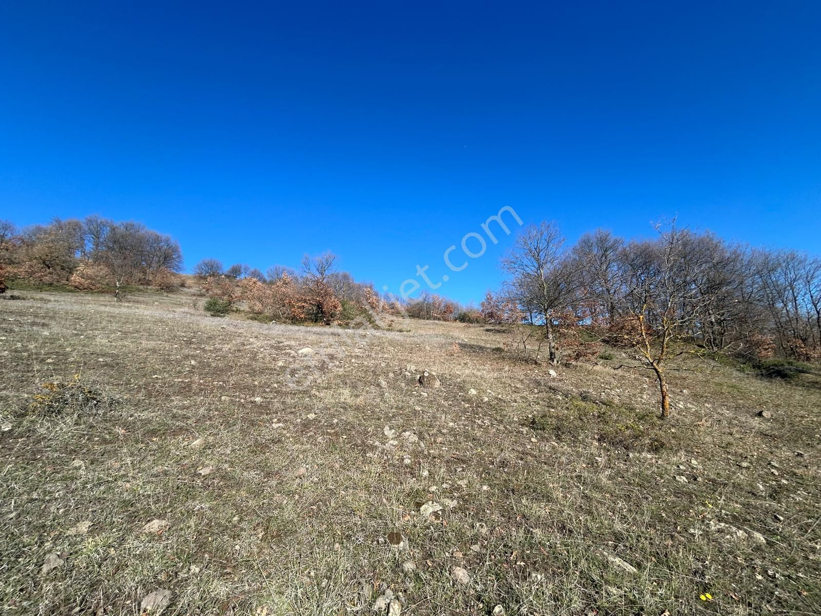 Kocaeli Karamürsel Fulacık %5 İmarlı 17.178 M2 Satılık Tarla - Görsel 5