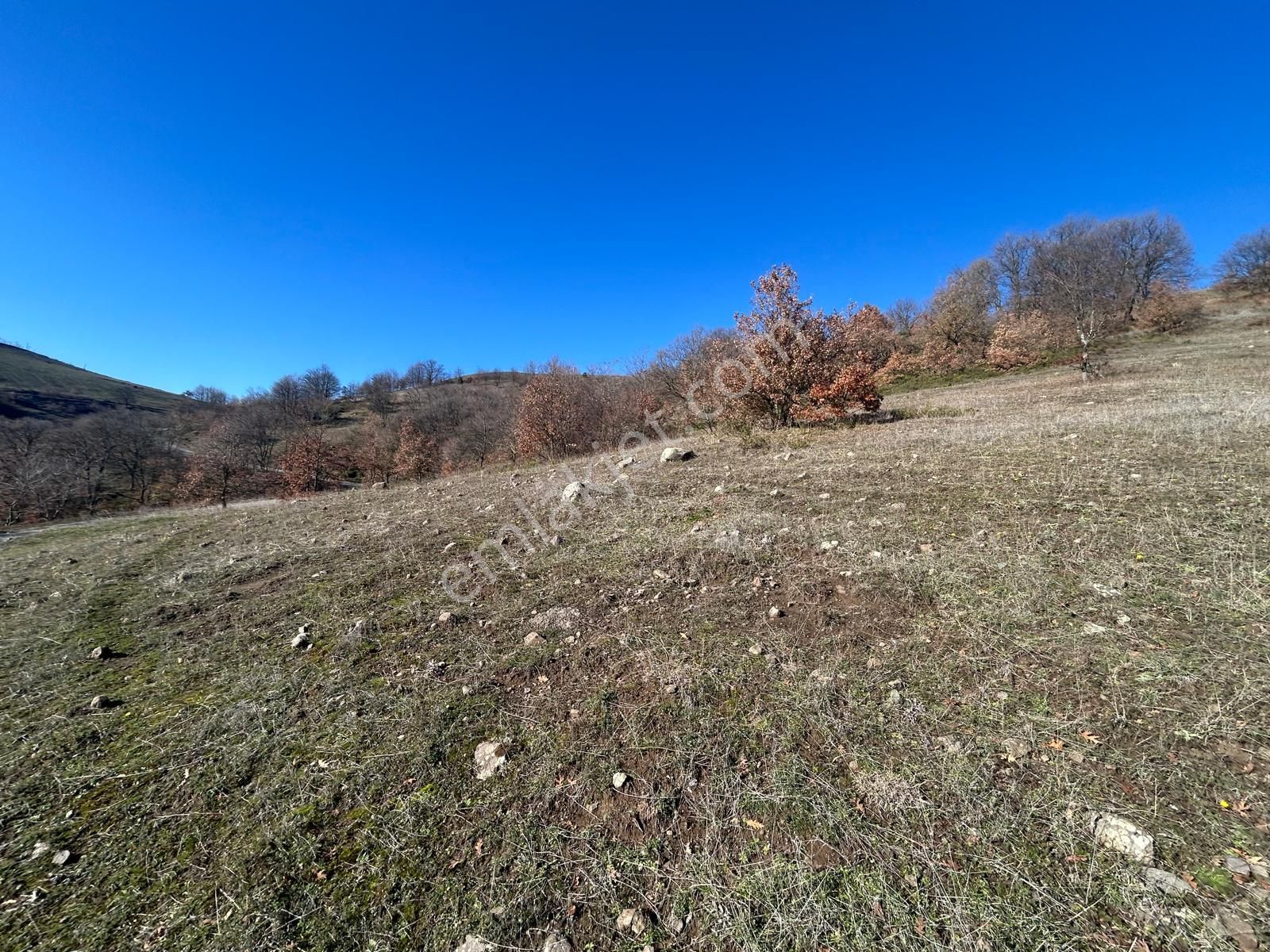 Kocaeli Karamürsel Fulacık %5 İmarlı 17.178 M2 Satılık Tarla - Görsel 8