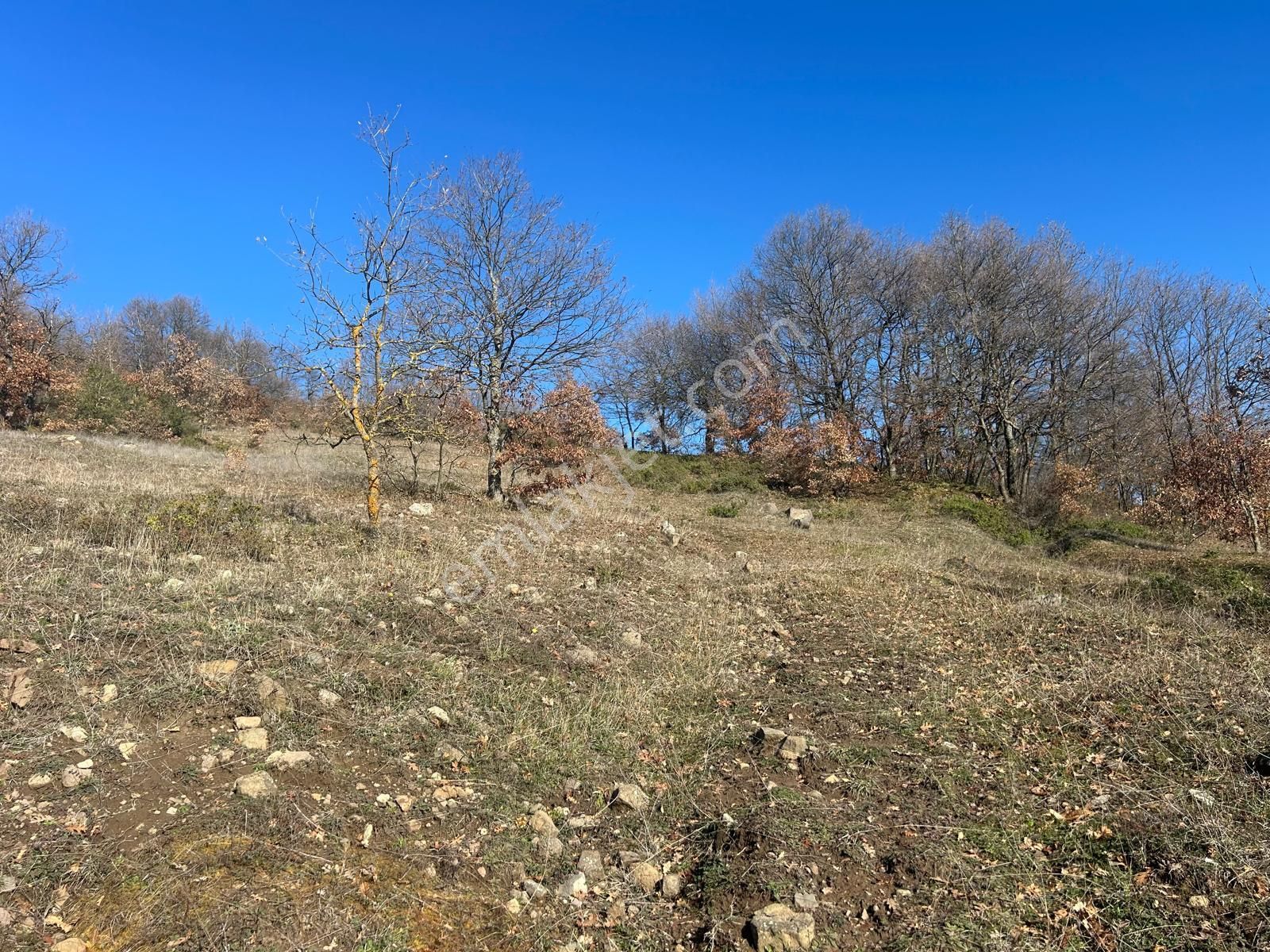 Kocaeli Karamürsel Fulacık %5 İmarlı 17.178 M2 Satılık Tarla - Görsel 7