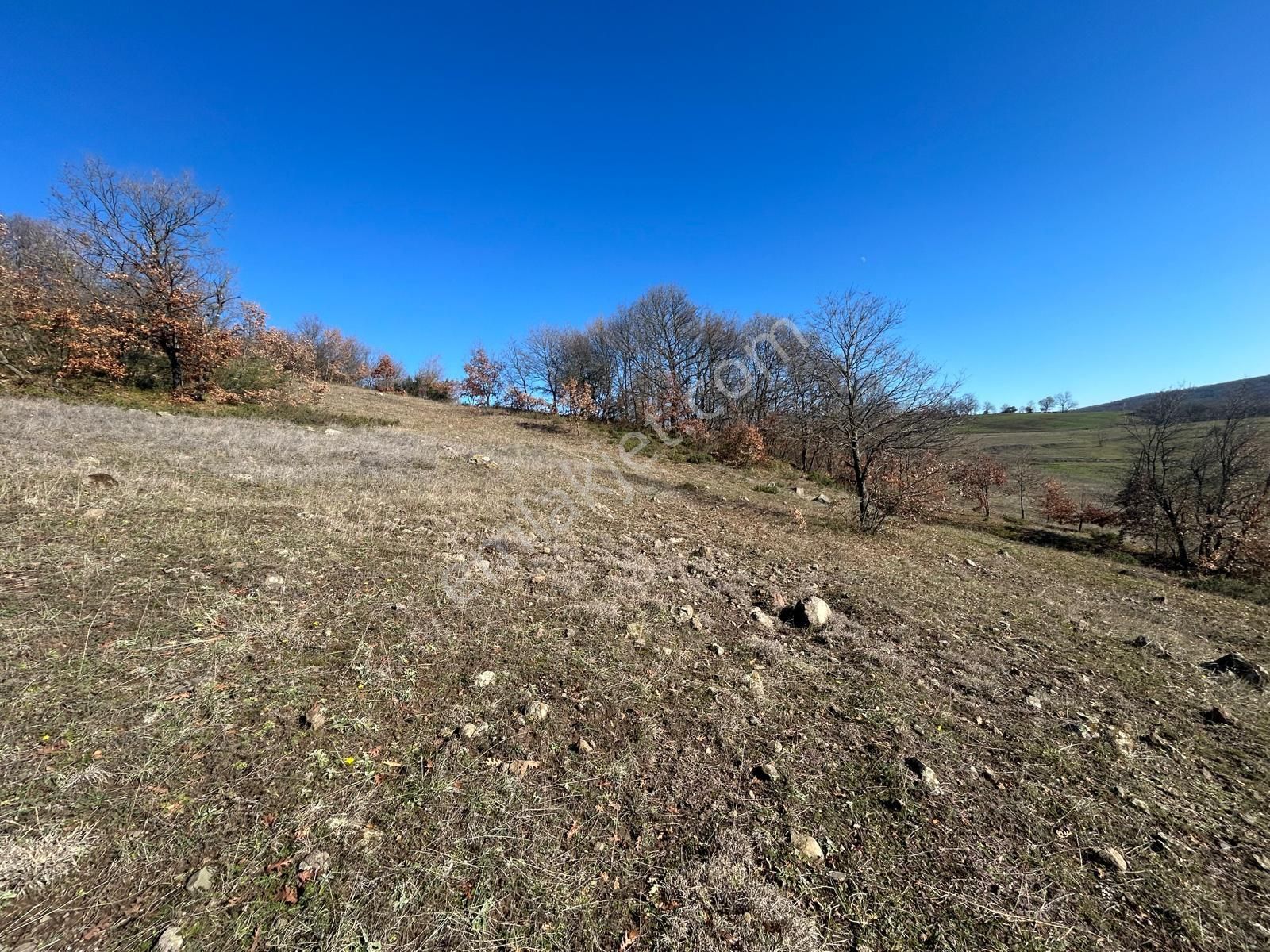 Kocaeli Karamürsel Fulacık %5 İmarlı 17.178 M2 Satılık Tarla - Görsel 9