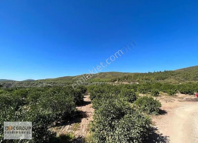 Bsk Group'dan 10 Dönum Mandalina Bahçesi Ana Yola Sıfır..! - Görsel 19