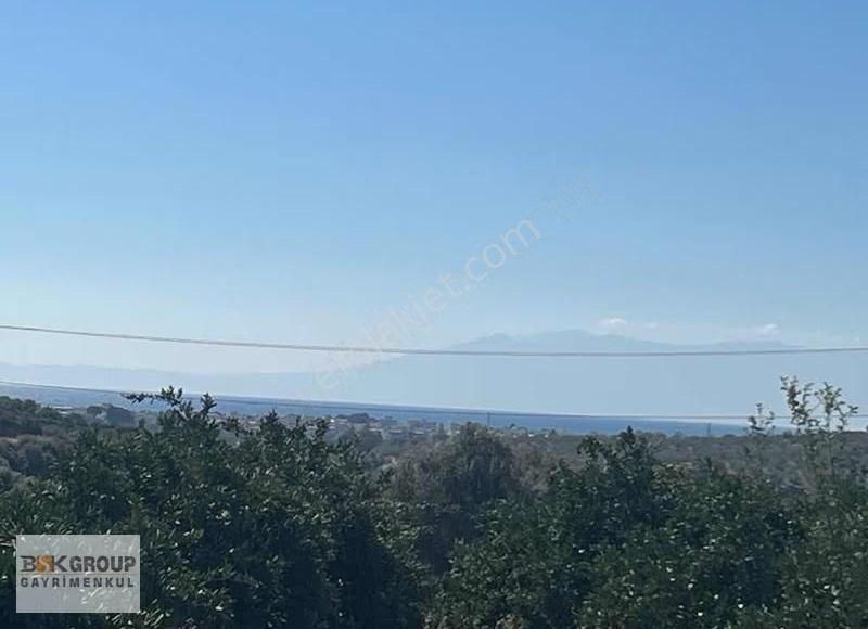 Bsk Group'dan 10 Dönum Mandalina Bahçesi Ana Yola Sıfır..! - Görsel 2