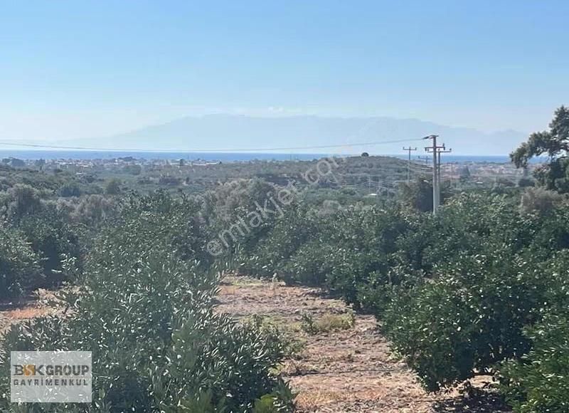 Bsk Group'dan 10 Dönum Mandalina Bahçesi Ana Yola Sıfır..!