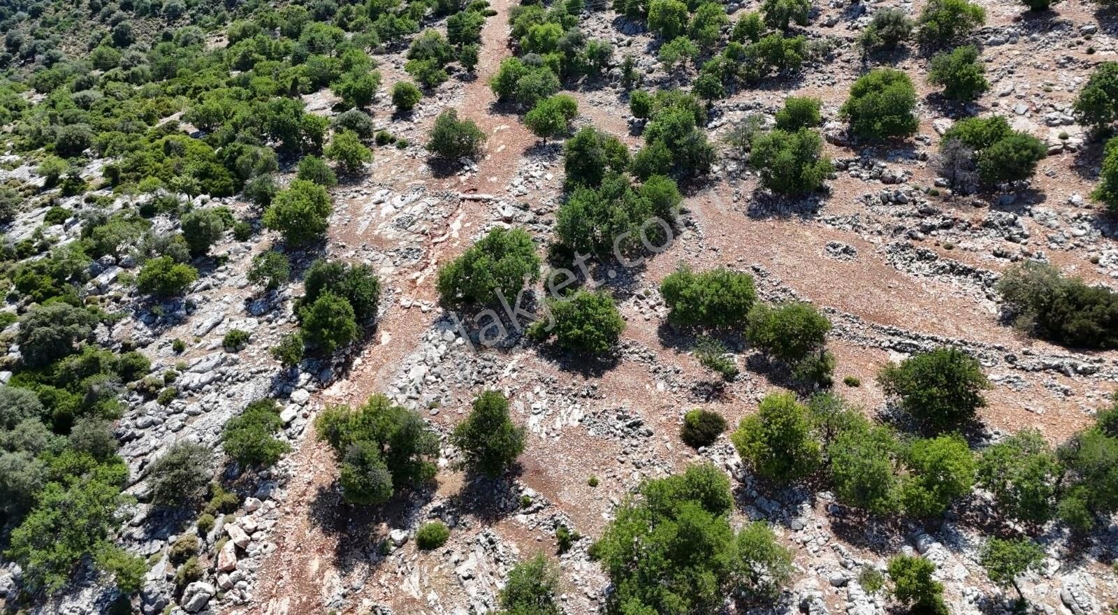 07 Truva Emlak'tan Finike Göklimanda Full Deniz Manzaralı Arsa - Görsel 4