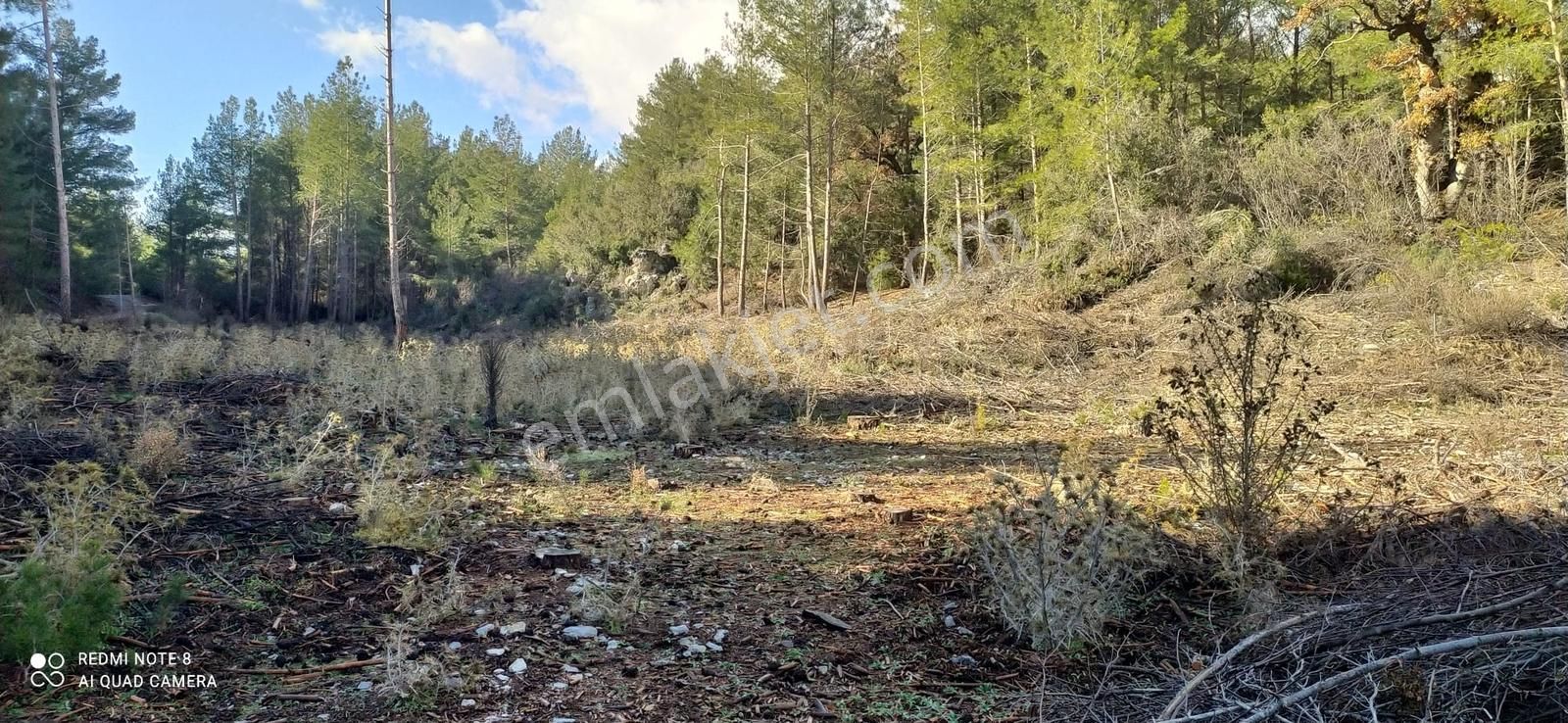 Fırsat! Fethiye Nif'te Müstakil Tapulu 6248 M² Yatırım Tarlası - Görsel 6