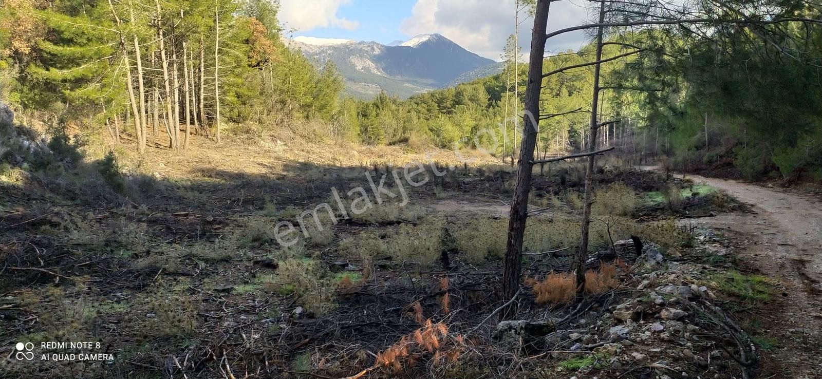 Fırsat! Fethiye Nif'te Müstakil Tapulu 6248 M² Yatırım Tarlası - Görsel 10