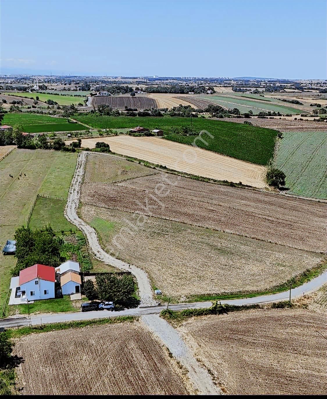 Osmanbeyli Mah. Dübleks Ev Ahır Ve Bahçesinde Çeşit Meyve Ağacı