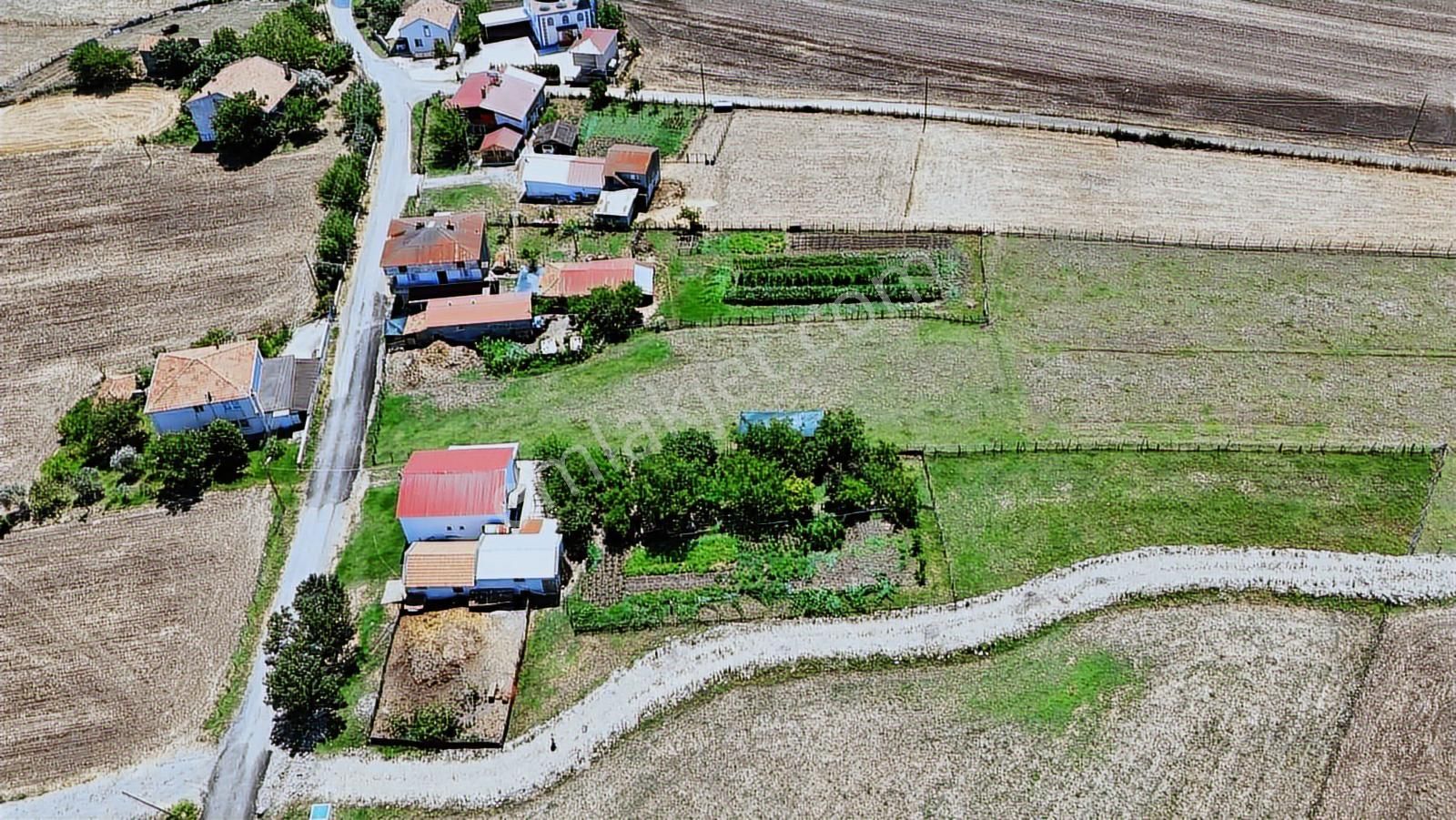 Osmanbeyli Mah. Dübleks Ev Ahır Ve Bahçesinde Çeşit Meyve Ağacı - Görsel 17