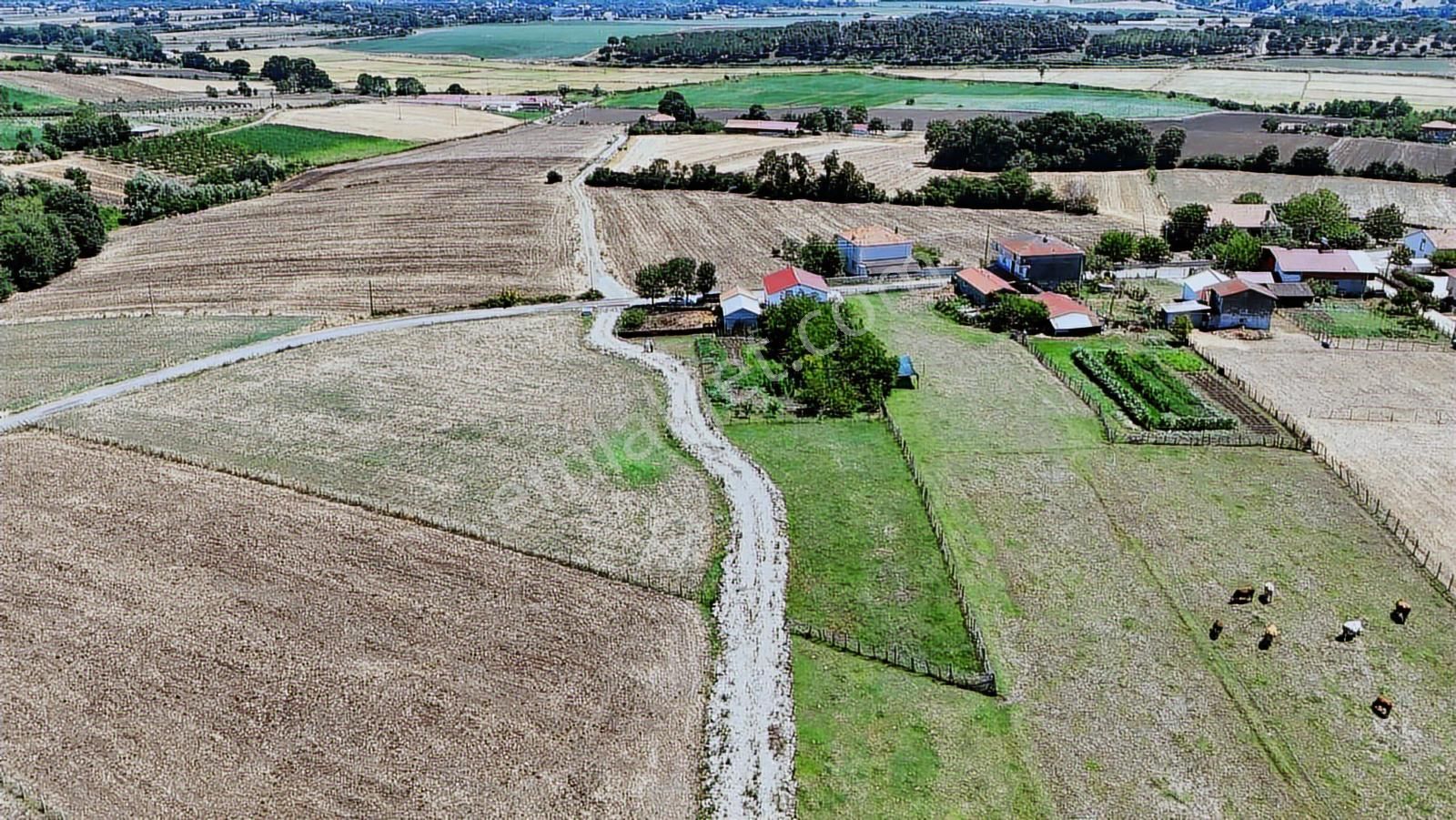 Osmanbeyli Mah. Dübleks Ev Ahır Ve Bahçesinde Çeşit Meyve Ağacı - Görsel 33