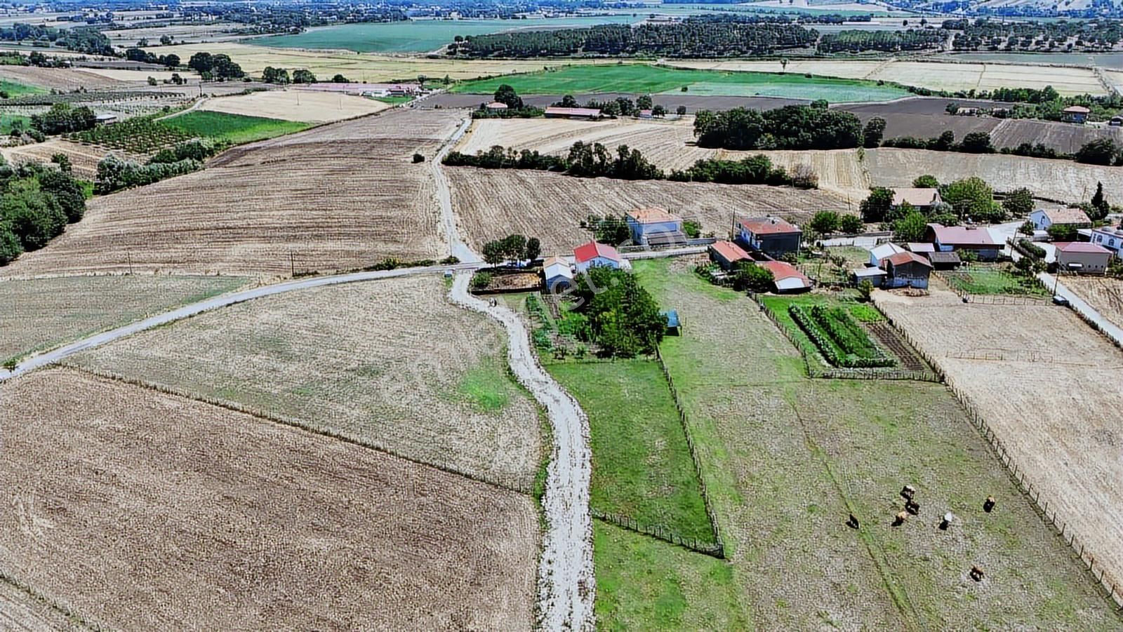 Osmanbeyli Mah. Dübleks Ev Ahır Ve Bahçesinde Çeşit Meyve Ağacı - Görsel 35
