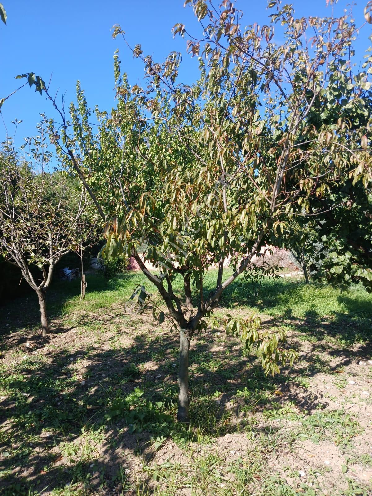 Çatalca Çakılda 670m Arsada 7 Odalı Satılık 2 Katlı Düşeş Kazandıracak Ev No:462 - Görsel 15