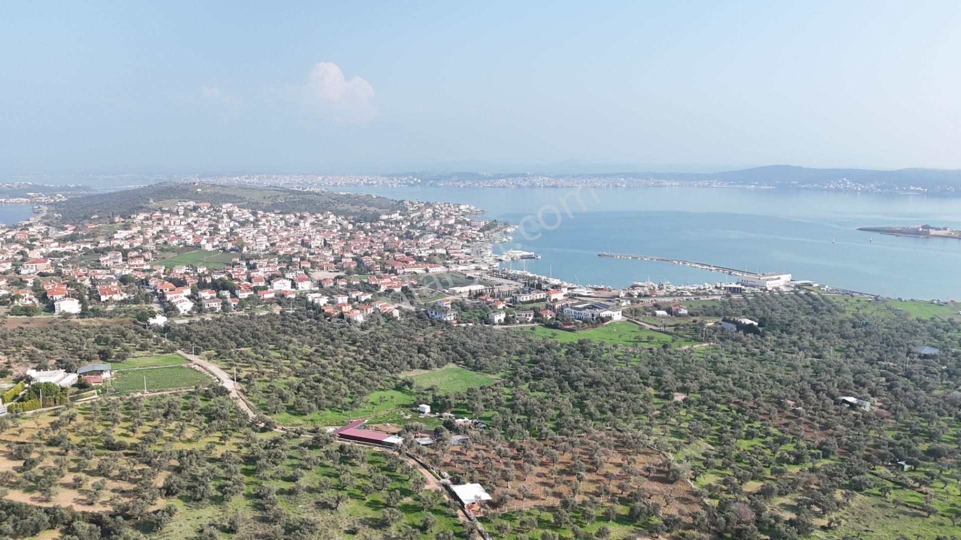 Cunda Adasında Geleceğinize Yatırım Yapın.! - Görsel 21