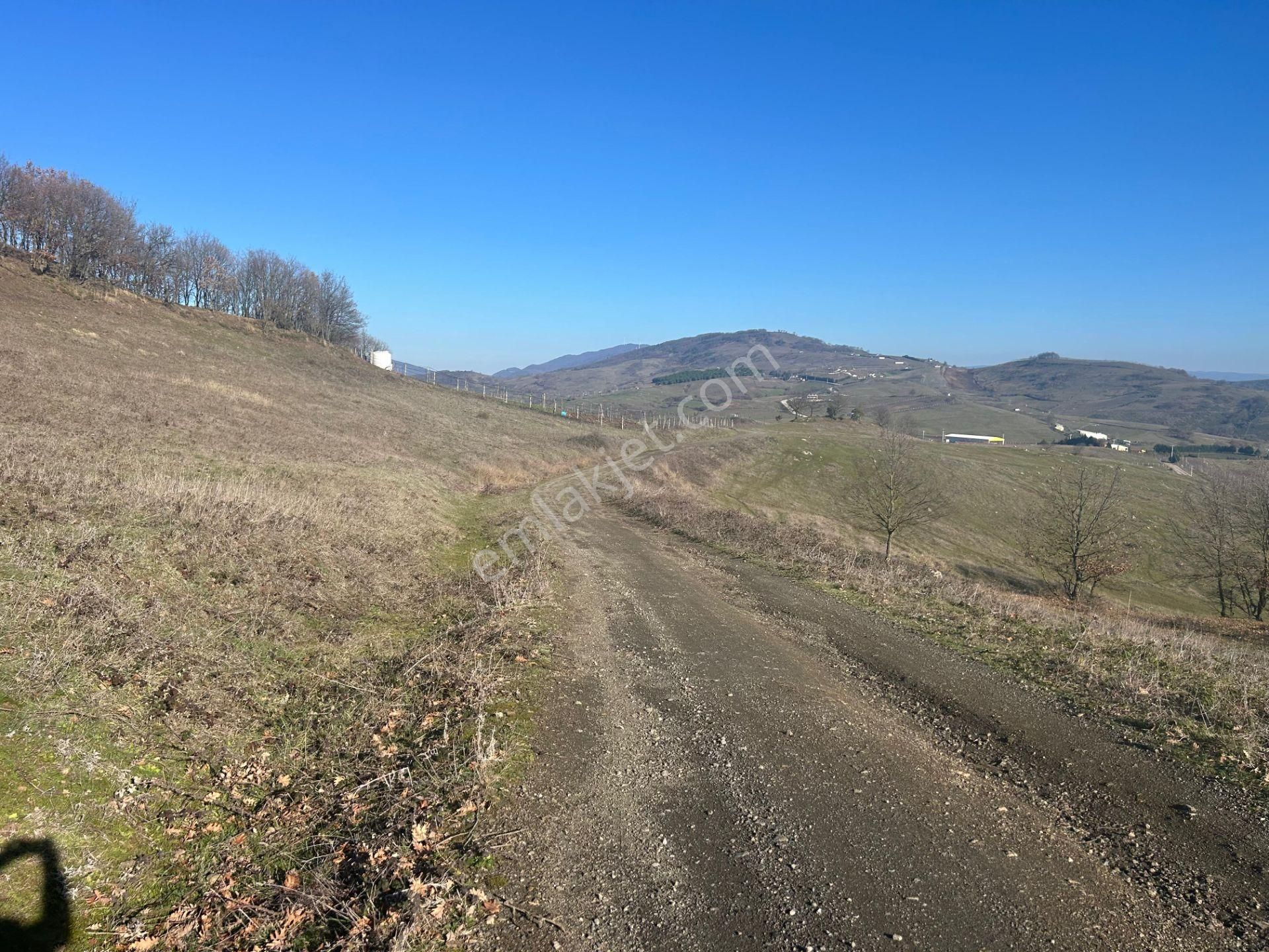 Karamürsel Çamdibi %5 İmarlı Satılık 6433 M2 Satılık Tarla - Görsel 10