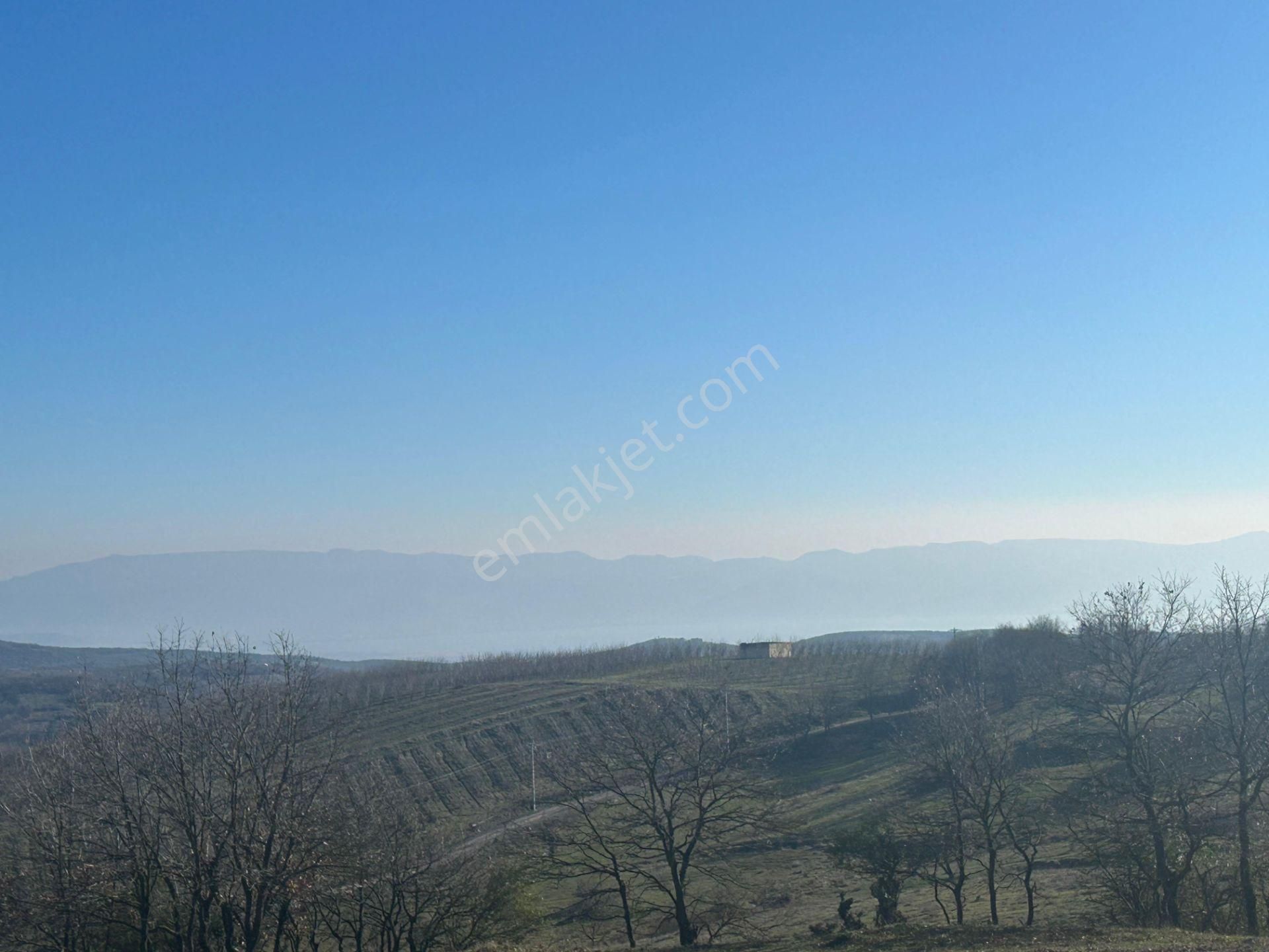 Karamürsel Çamdibi %5 İmarlı Satılık 6433 M2 Satılık Tarla - Görsel 11