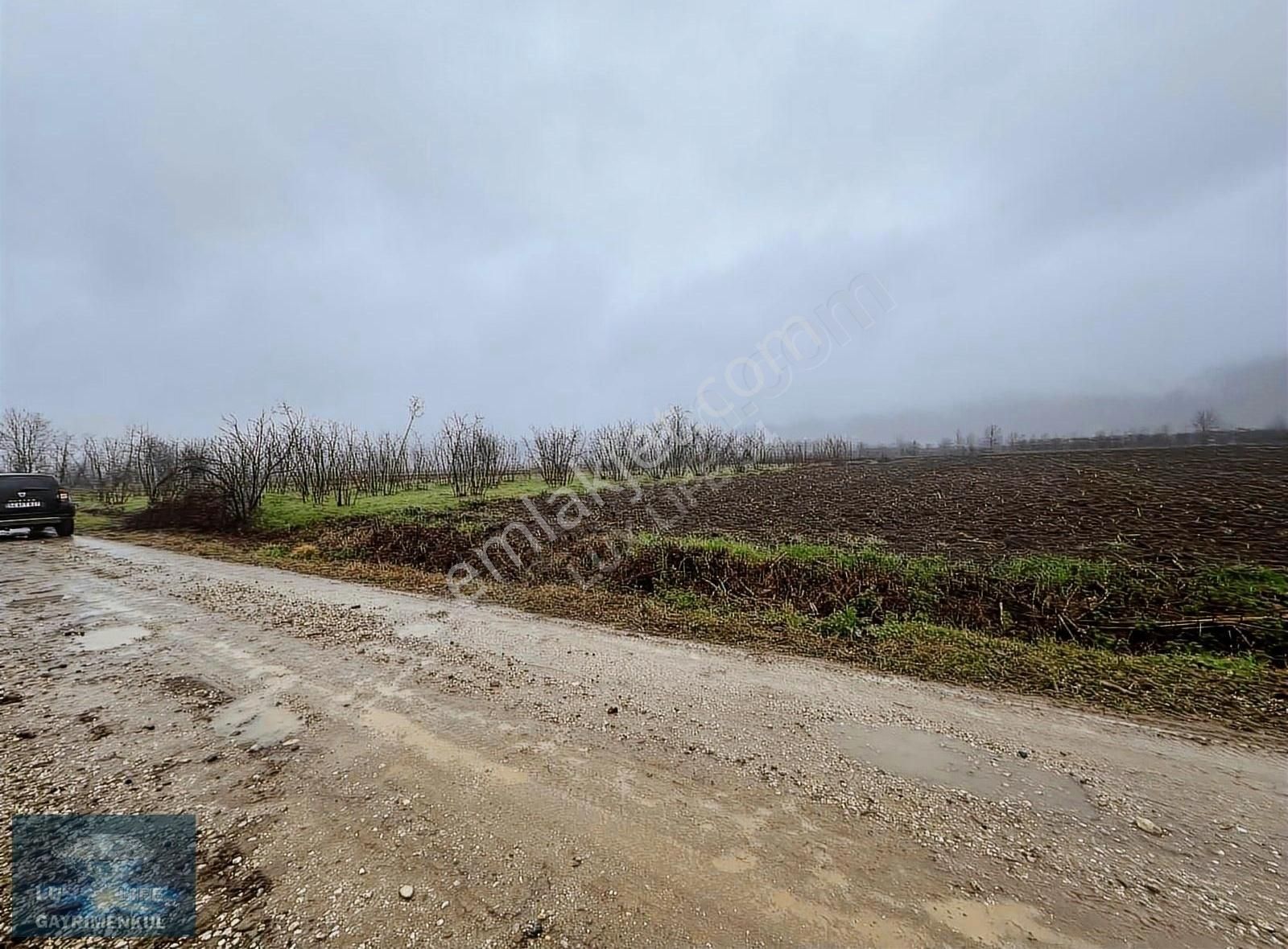 Lux Lıfe 54 Gayrimenkul Alaağaçta Fırsat Yatırımlık Satılık Arsa - Görsel 5