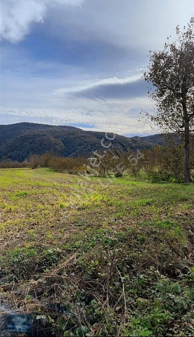Lux Lıfe 54 Gayrimenkul Alaağaçta Fırsat Yatırımlık Satılık Arsa - Görsel 7