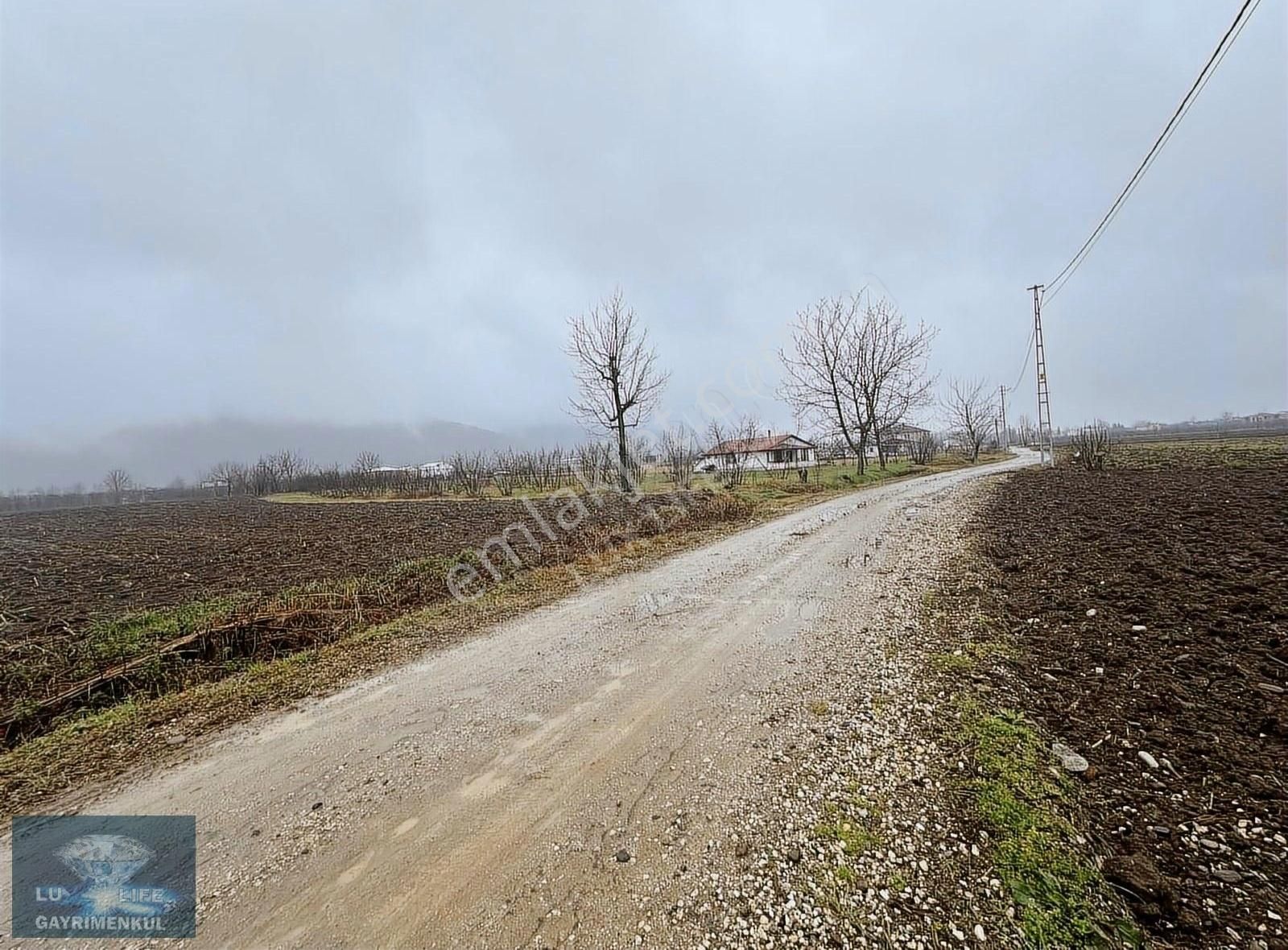 Lux Lıfe 54 Gayrimenkul Alaağaçta Fırsat Yatırımlık Satılık Arsa - Görsel 8