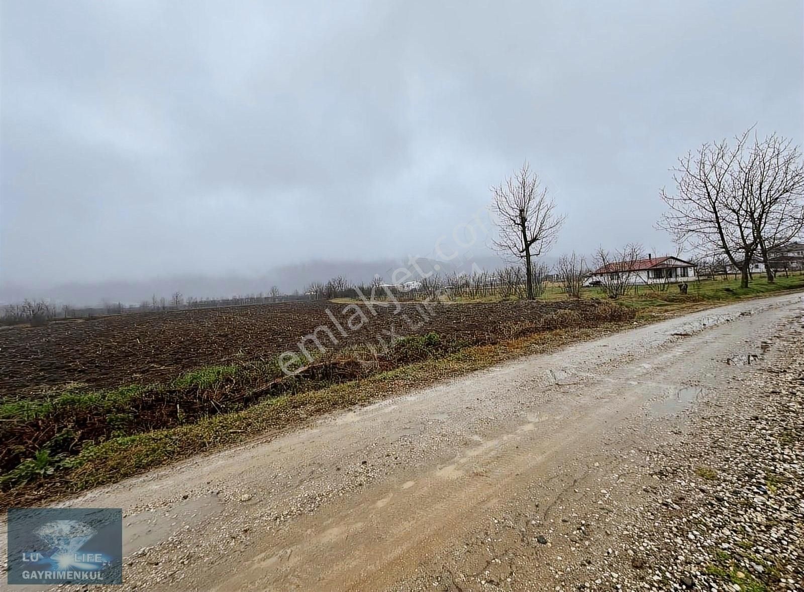 Lux Lıfe 54 Gayrimenkul Alaağaçta Fırsat Yatırımlık Satılık Arsa - Görsel 2