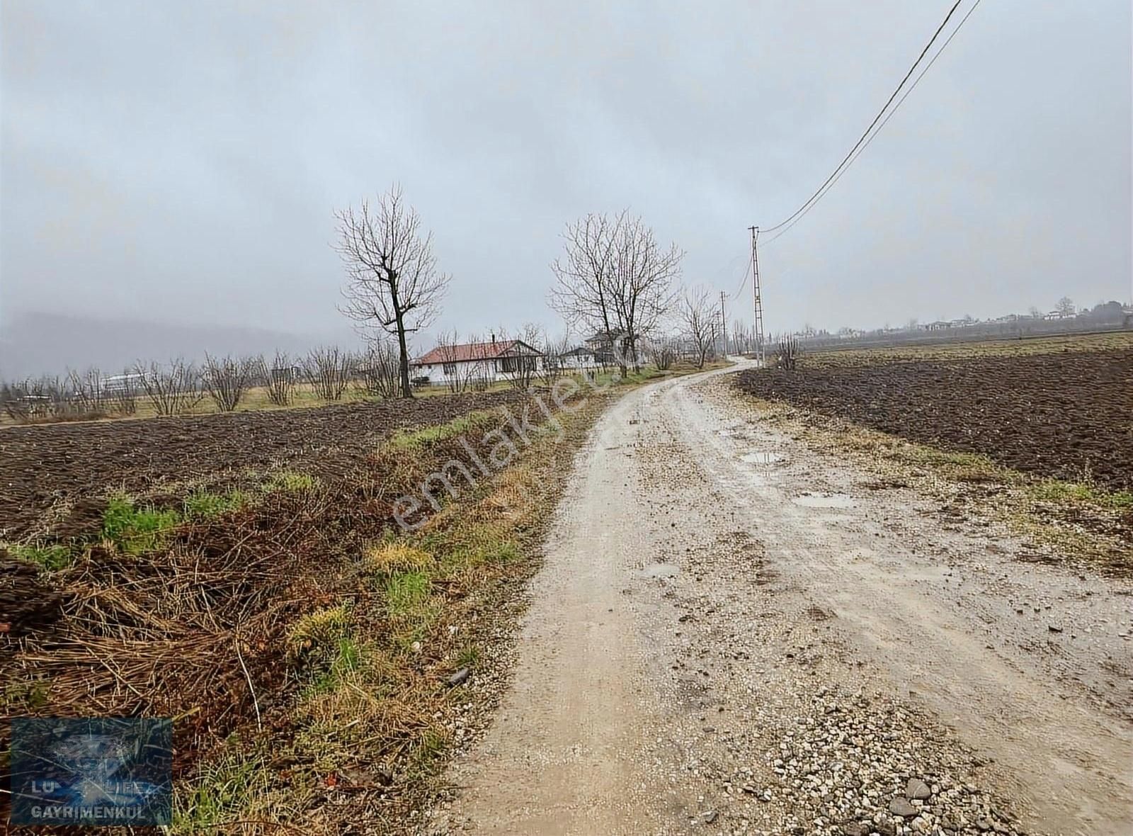 Lux Lıfe 54 Gayrimenkul Alaağaçta Fırsat Yatırımlık Satılık Arsa - Görsel 9