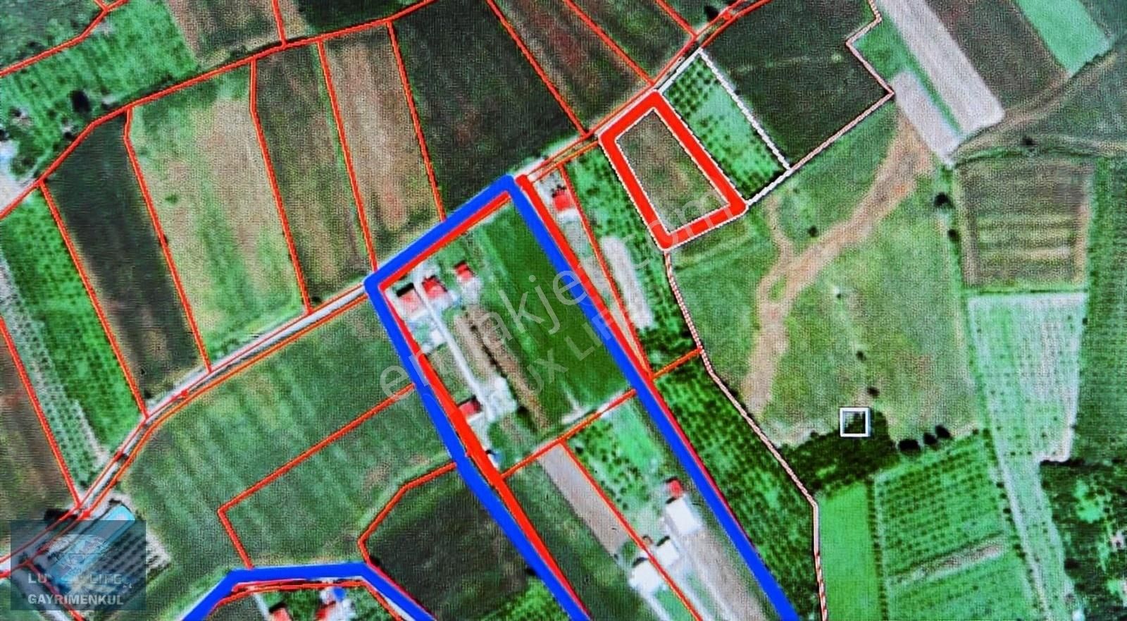 Lux Lıfe 54 Gayrimenkul Alaağaçta Fırsat Yatırımlık Satılık Arsa - Görsel 13