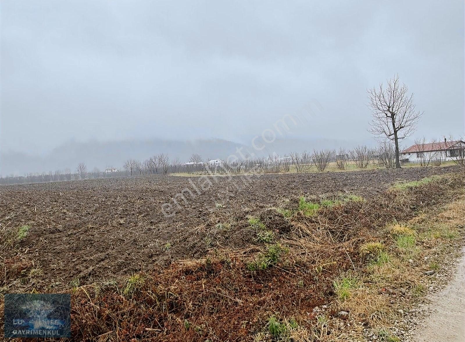 Lux Lıfe 54 Gayrimenkul Alaağaçta Fırsat Yatırımlık Satılık Arsa - Görsel 12