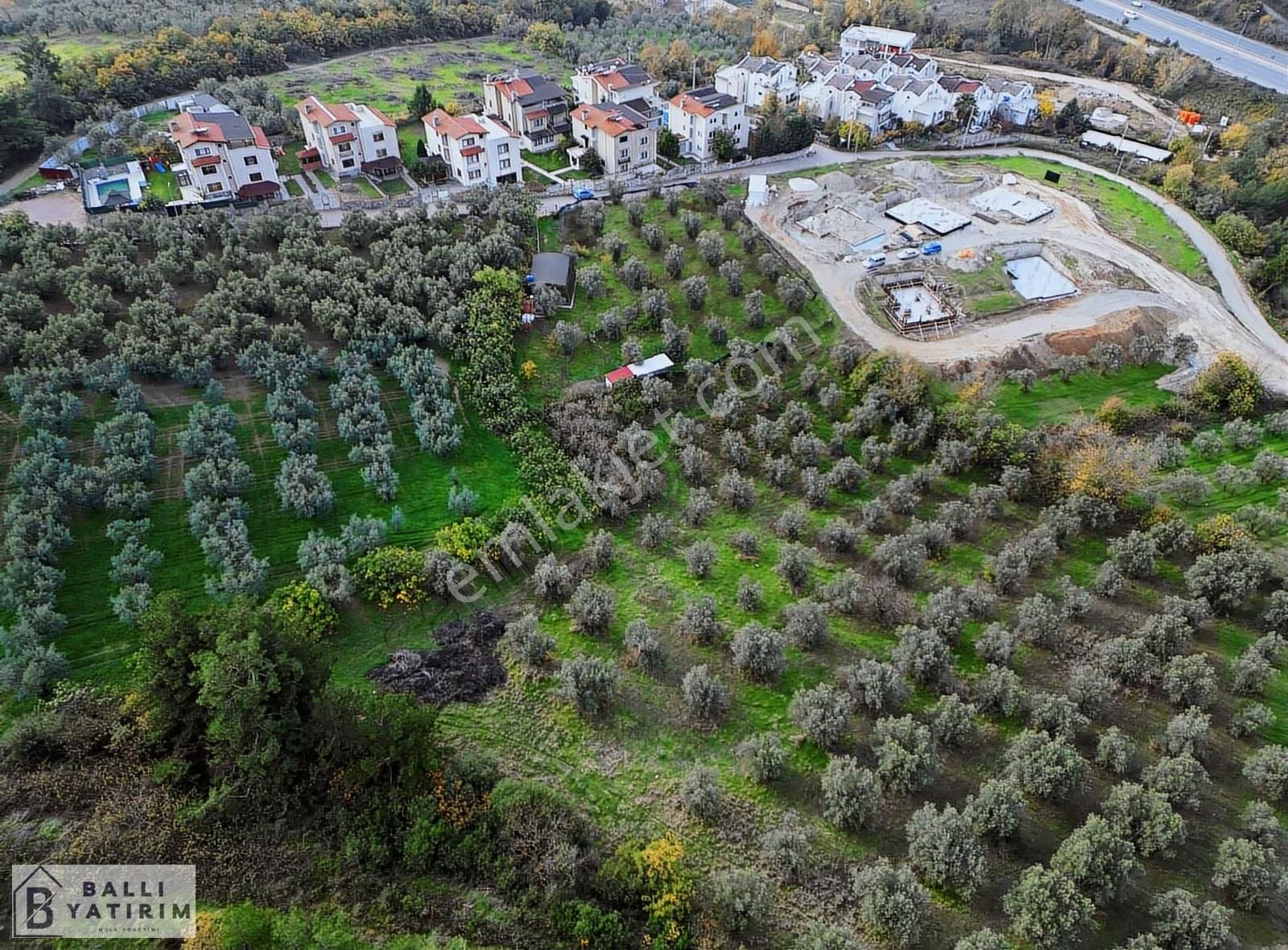 Ballı Yatırım'dan Çağrışan'da Tek Tapu 750 M2 Arsa - Görsel 8