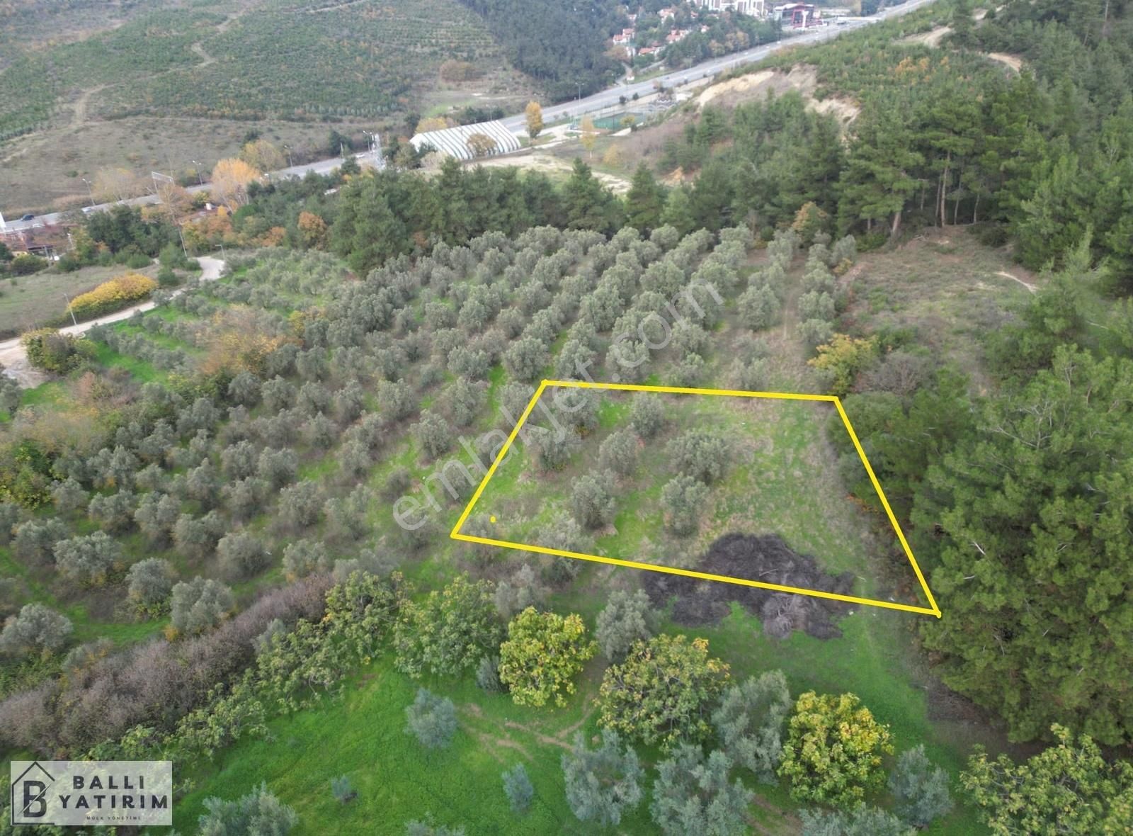 Ballı Yatırım'dan Çağrışan'da Tek Tapu 750 M2 Arsa - Görsel 7