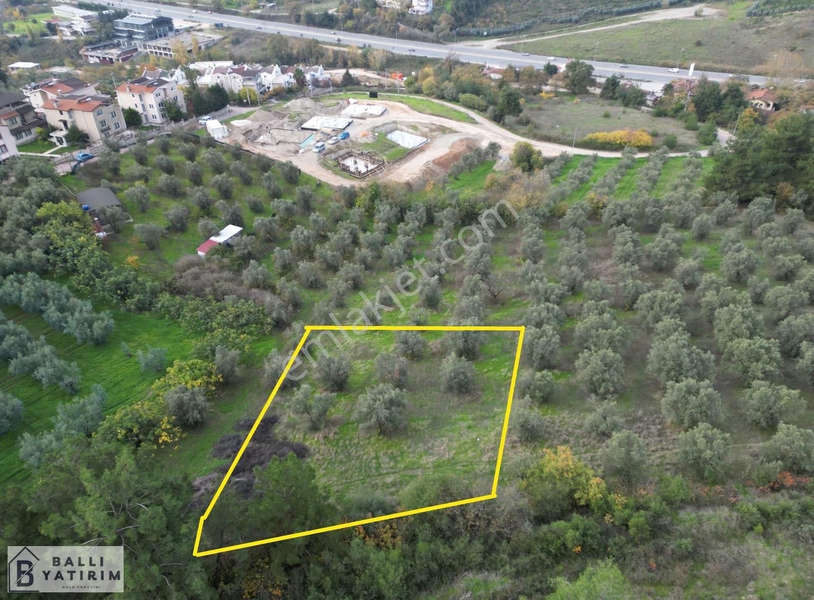 Ballı Yatırım'dan Çağrışan'da Tek Tapu 750 M2 Arsa - Görsel 6