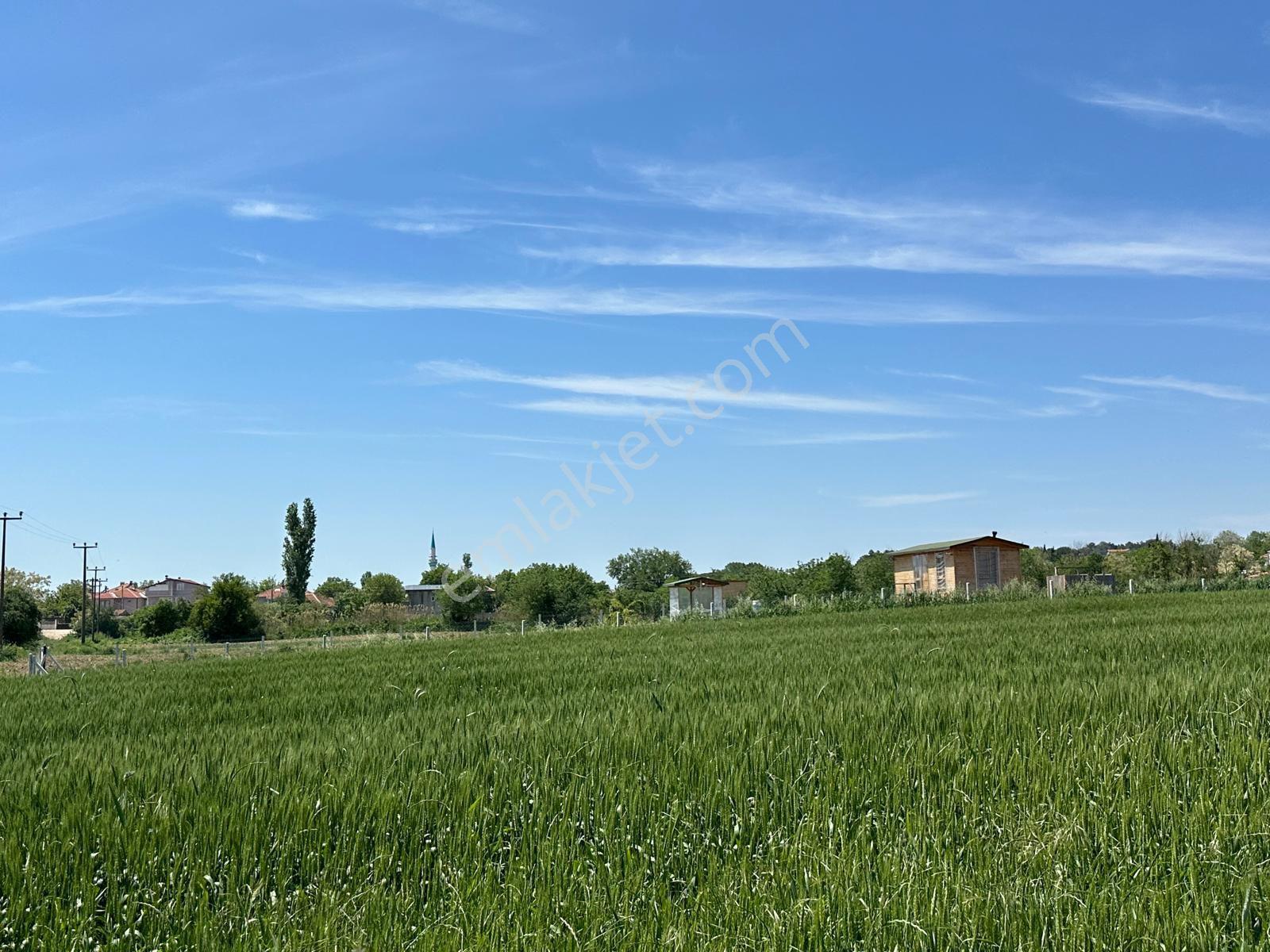 Kırklareli Lüleburgaz Ahmet Beyden Satlık 1600m2 Arsa - Görsel 5