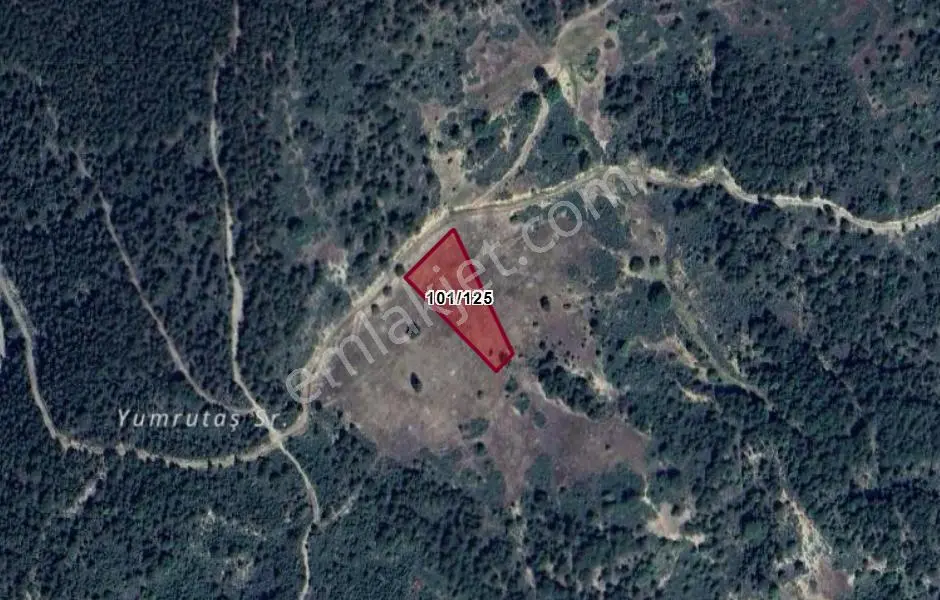 Kütahya Gediz Çukurören Köyünde 3.276 M² Tarla Satılıktır