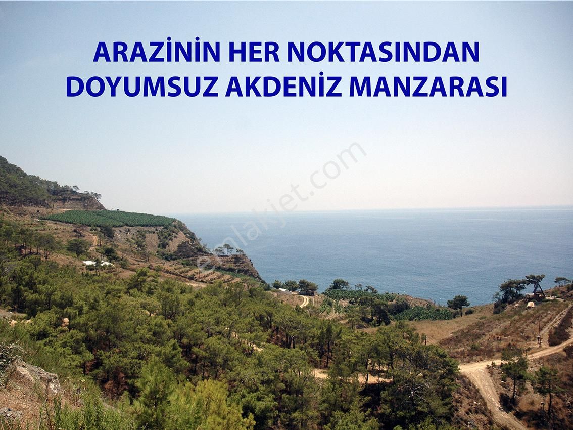 Anamur'da Denize Sıfır, Özel Plajlı, 40,5 Dönüm Arazi - Görsel 4