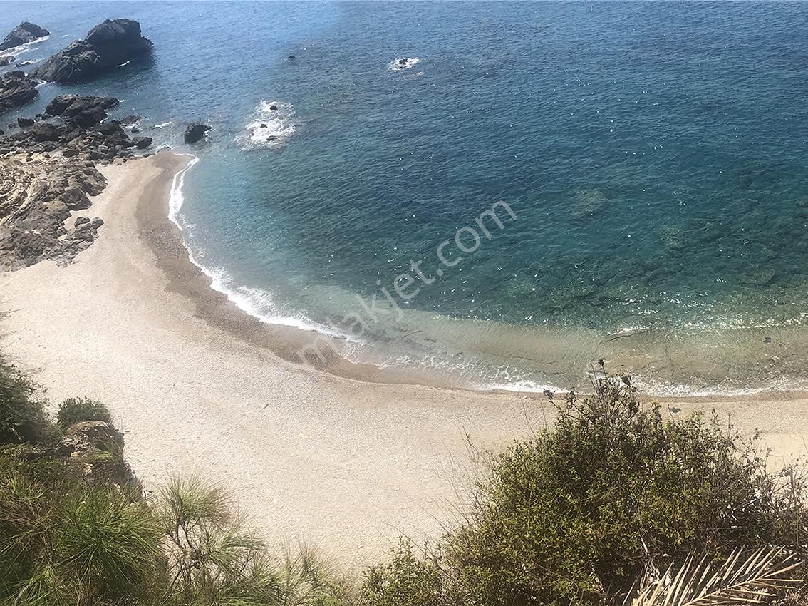 Anamur'da Denize Sıfır, Özel Plajlı, 40,5 Dönüm Arazi - Görsel 7