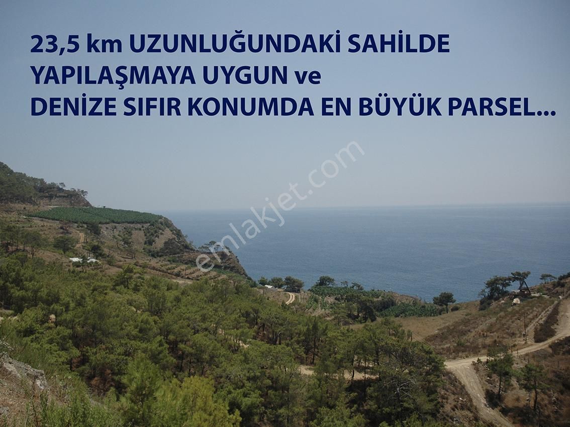 Anamur'da Denize Sıfır, Özel Plajlı, 40,5 Dönüm Arazi - Görsel 8